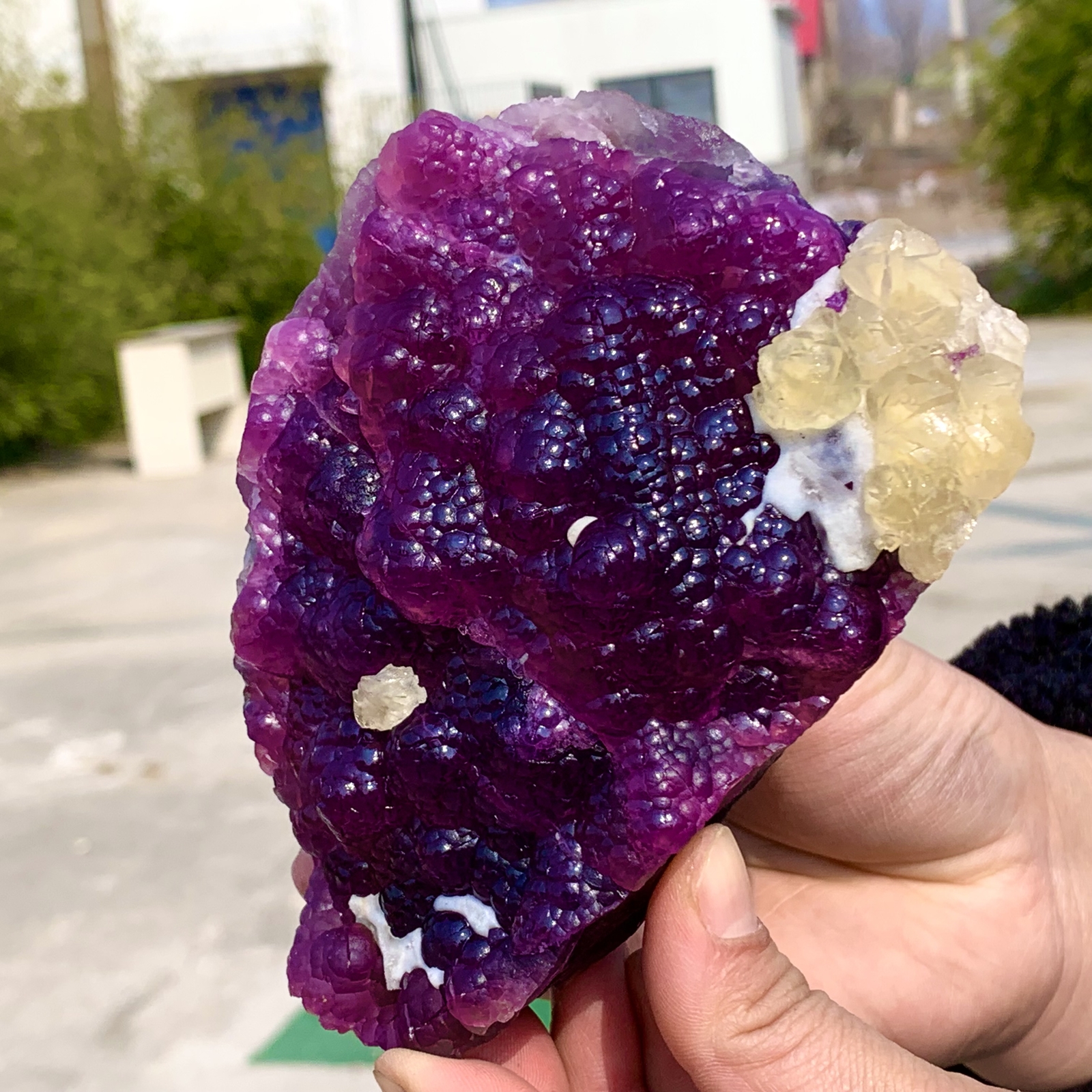 2.40LB Complete rare and gorgeous purple fluorite from Inner Mongolia, China