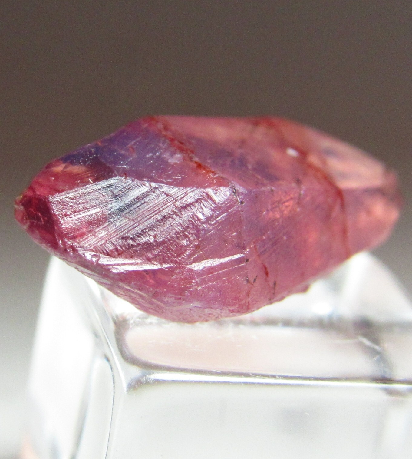EXTRAVAGANT FINE DOUBLE TERMINATED GEM CLEAR RUBY CRYSTAL!!! WINZA TANZANIA