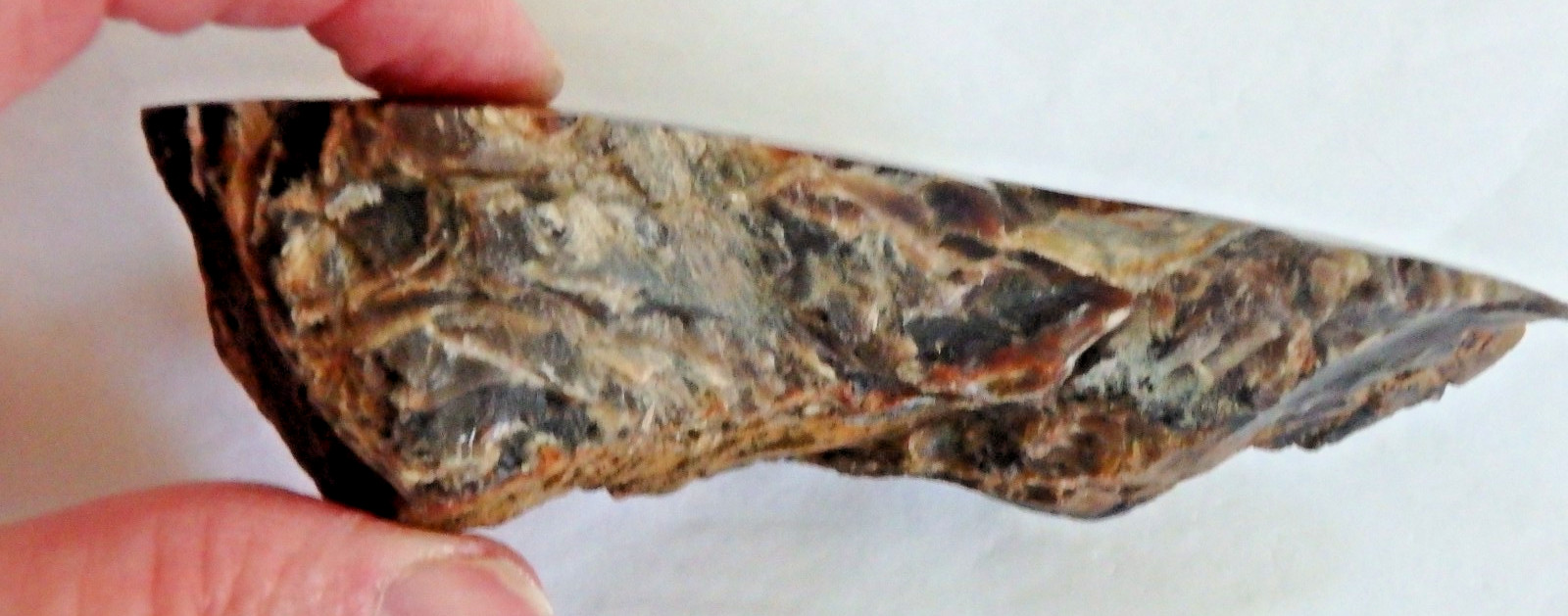 Fossil Petrified Wood 137.7 grams Polished top Raw bottom Old Stock