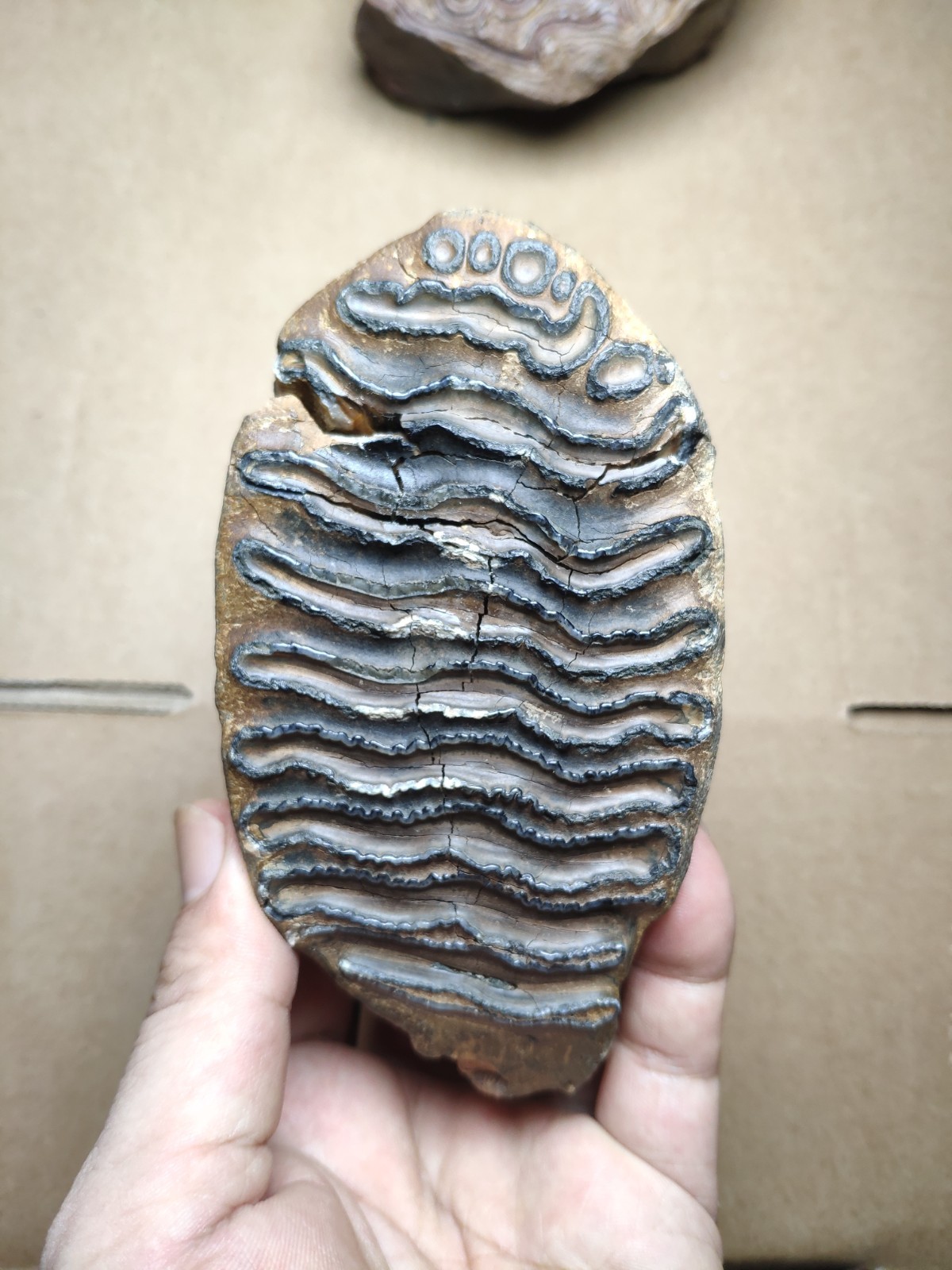 530g Beautiful Clear texture landscape stone