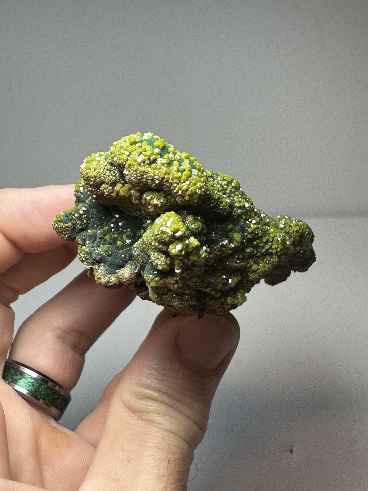 RARE Pyromorphite on Malachite Crystal – Rum Jungle Australia Mineral Specimen