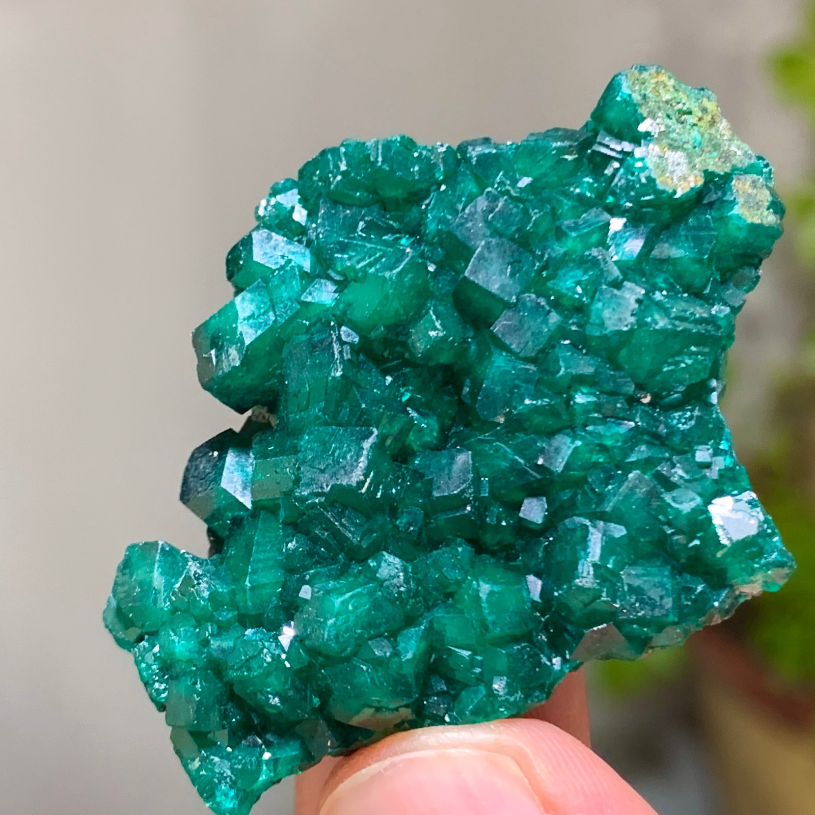 15G Natural green dioptase emerandine gemstone cluster mineral specimen