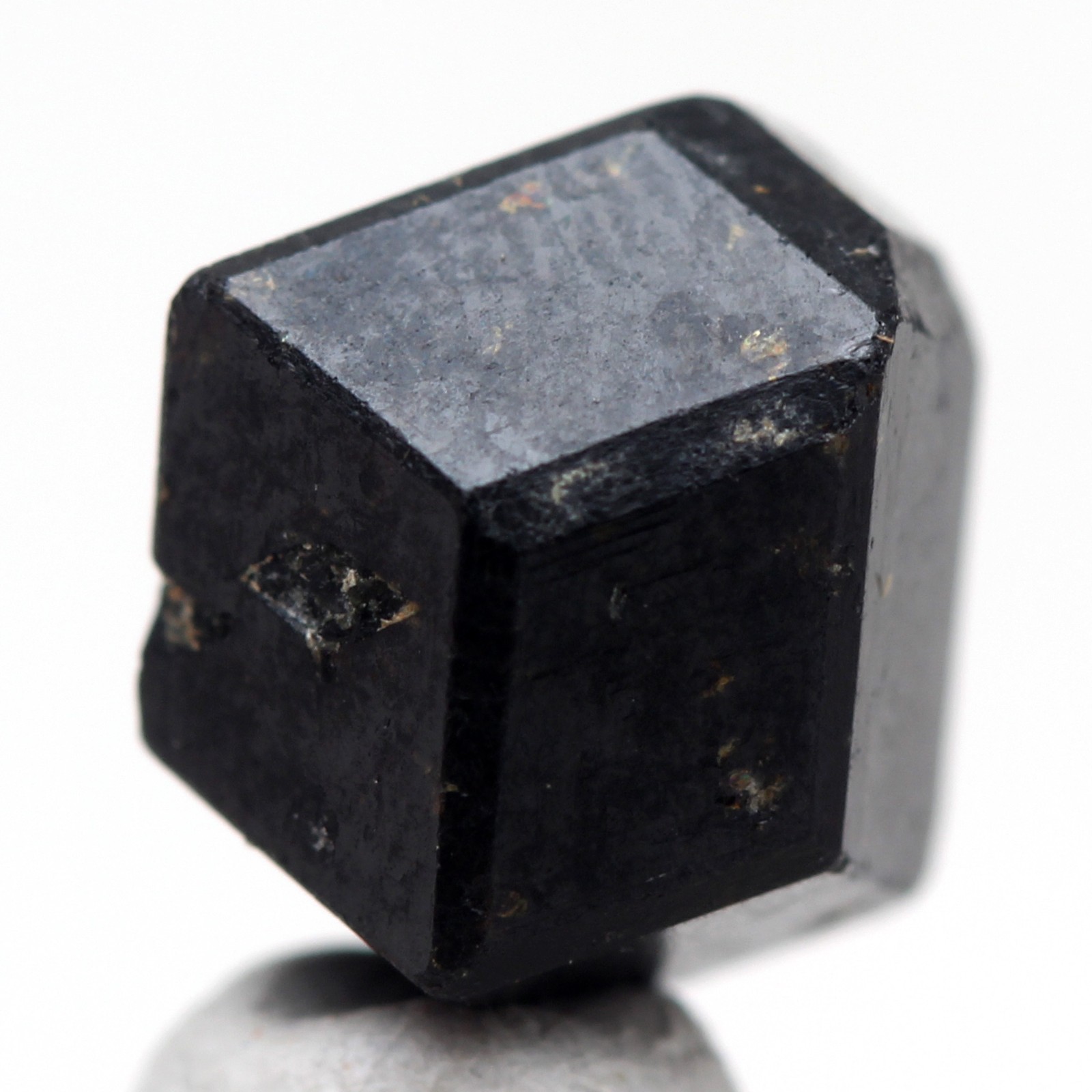 GARNET ANDRADITE Crystal Mineral Specimen Melanite Black Natural Authentic MALI
