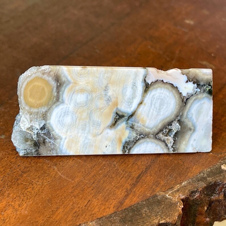 Rare Madagascar 8th Vein Ocean Jasper Freeform -Natural Orbicular Jasper Crystal