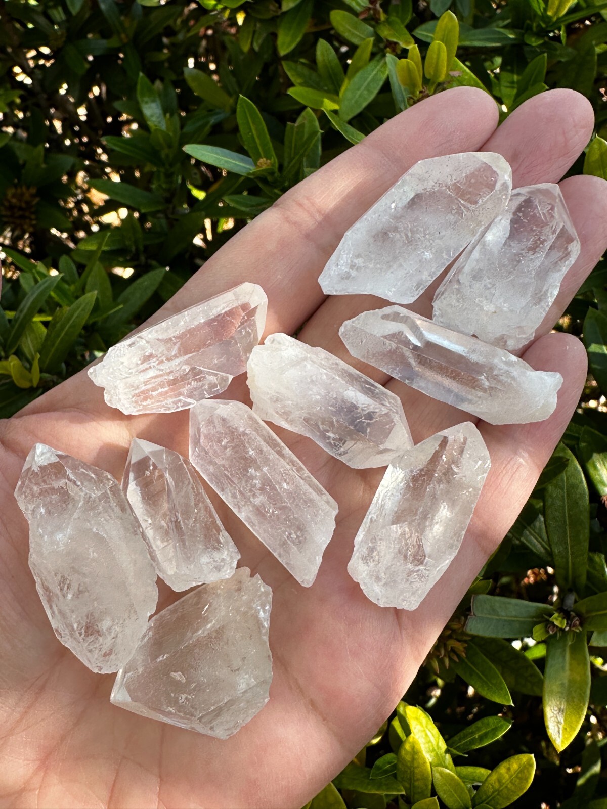 0.75″ – 1.5″ Small Rough Clear Quartz Point, Raw Healing Crystals, Wholesale Lot