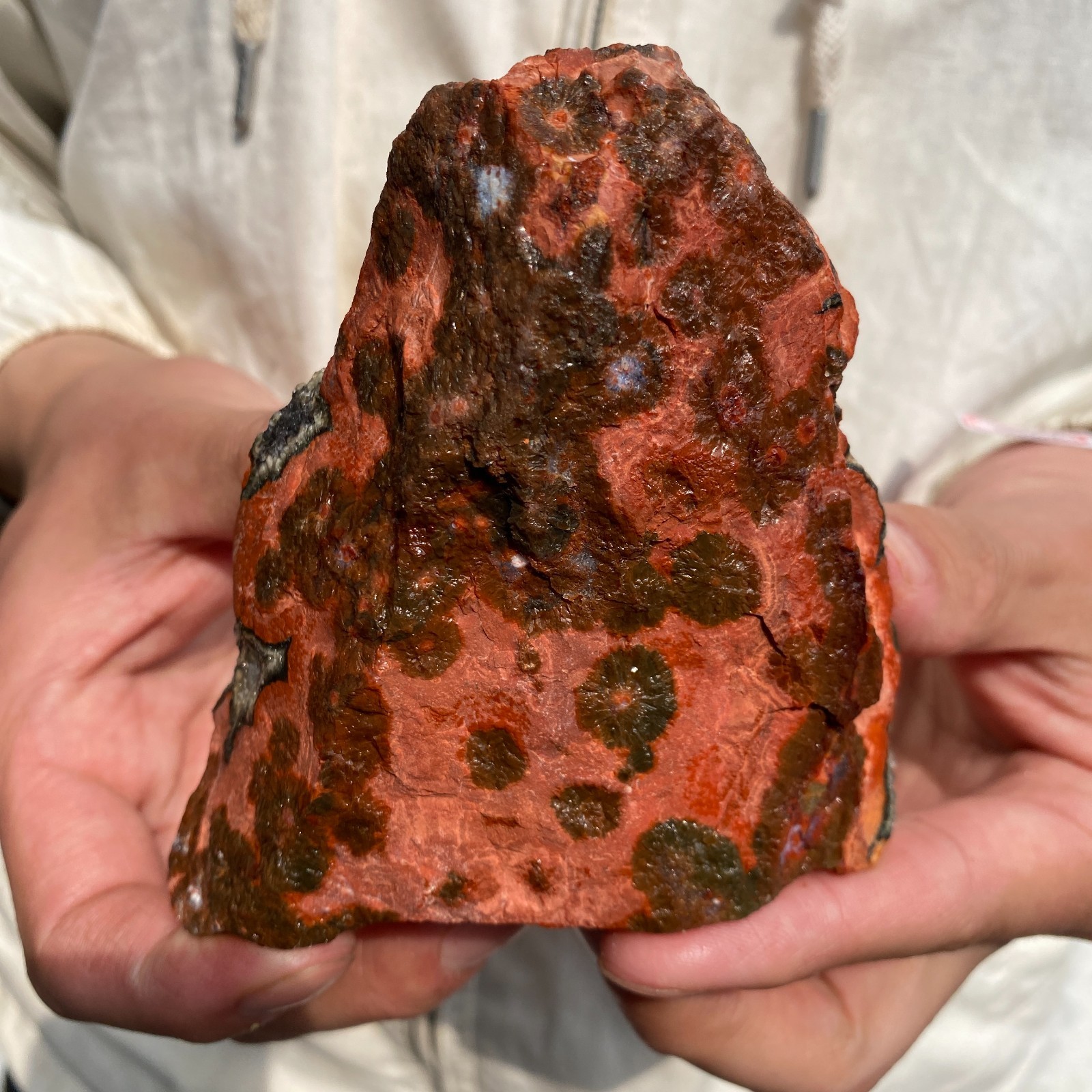 350G Rare Natural Raw Ocean Jasper Rough Quartz Crystal Mineral SpecimeM
