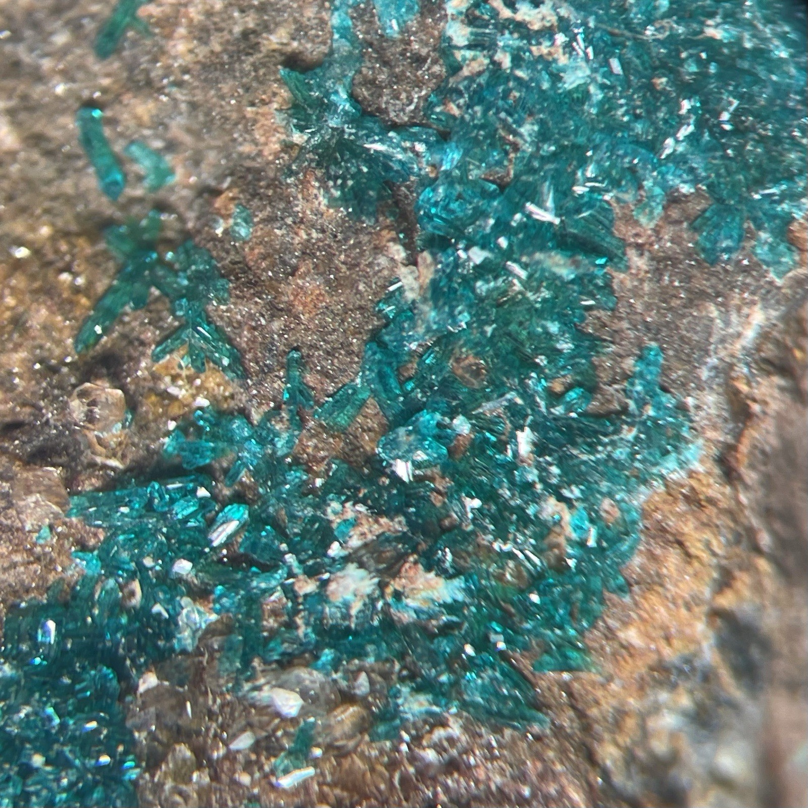 Dioptase Crystal Druzy Harquahala Mine ARIZONA USA
