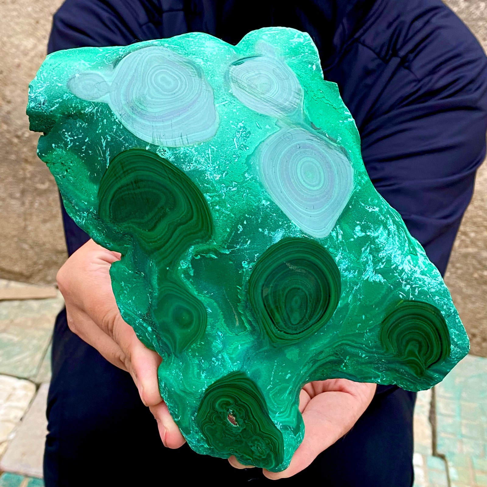 3.2LB Natural tortoise Malachite transparent cluster coarse mineral sample