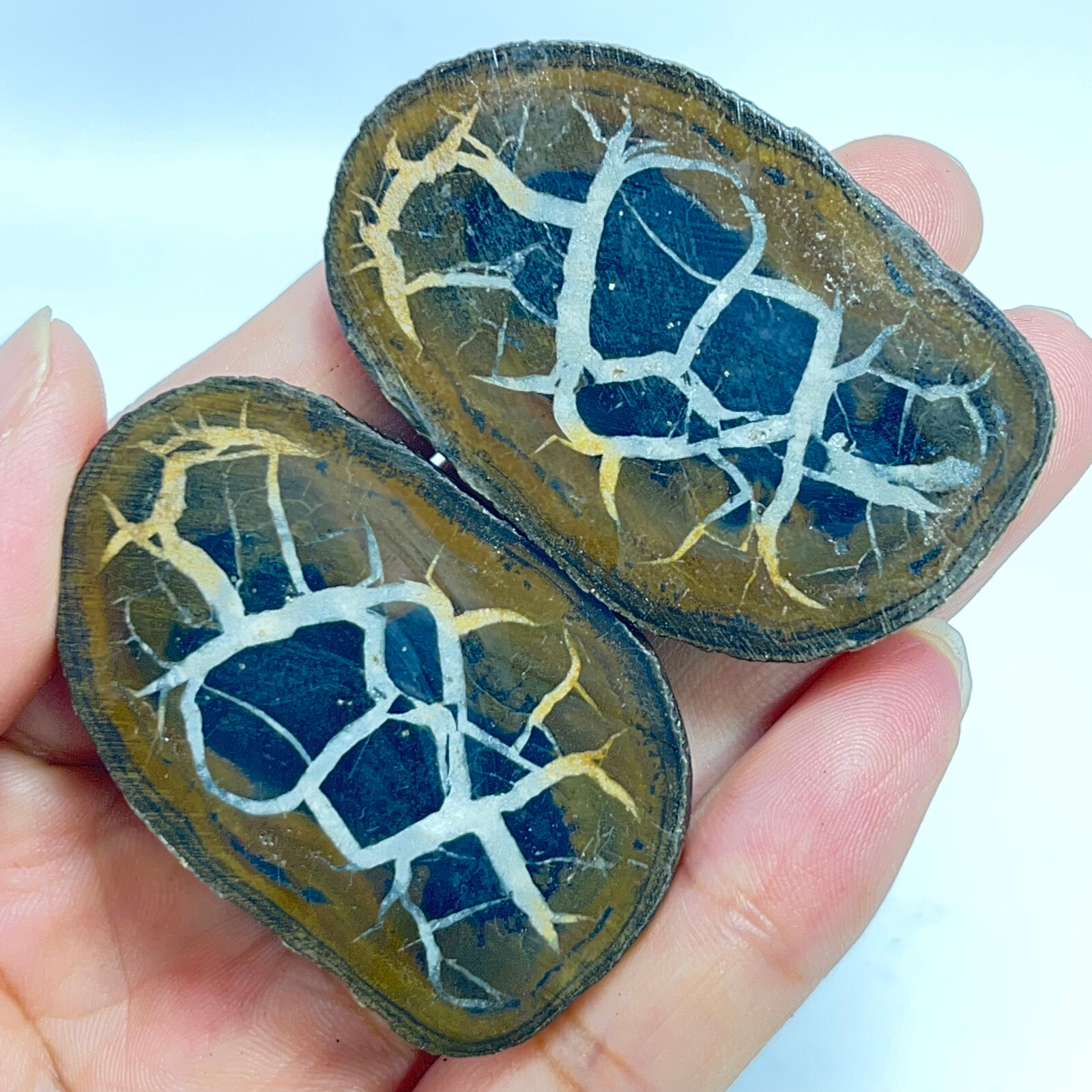 62G Natural Crystal Moroccan Turtle Back Stone Cutting Quartz Energy Spirit