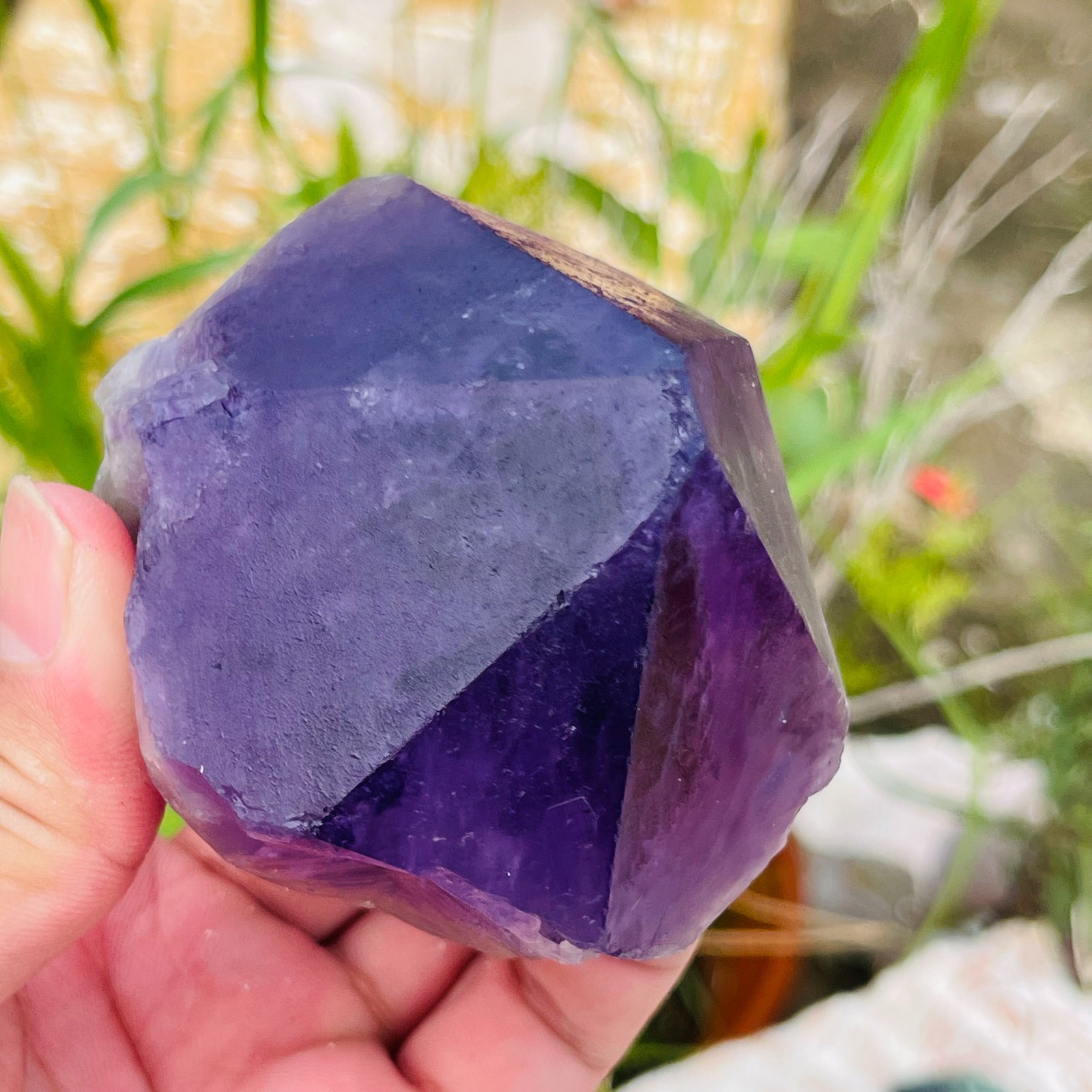 467g Natural Amethyst Unicuspid Quartz Crystal Points Rough Mineral Specimen