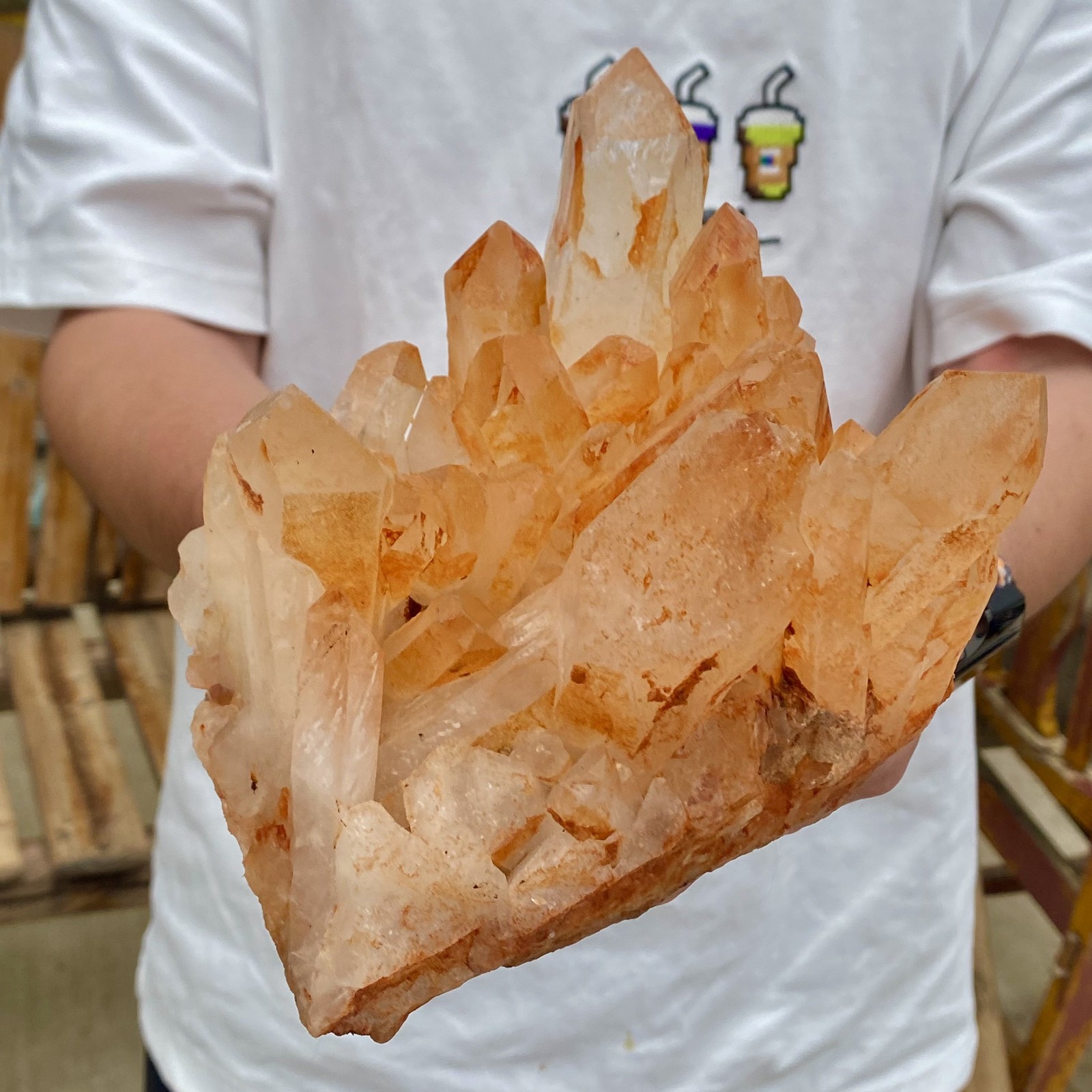 3.65LB Natural Clear Beautiful White QUARTZ Crystal Cluster Specimen Healing