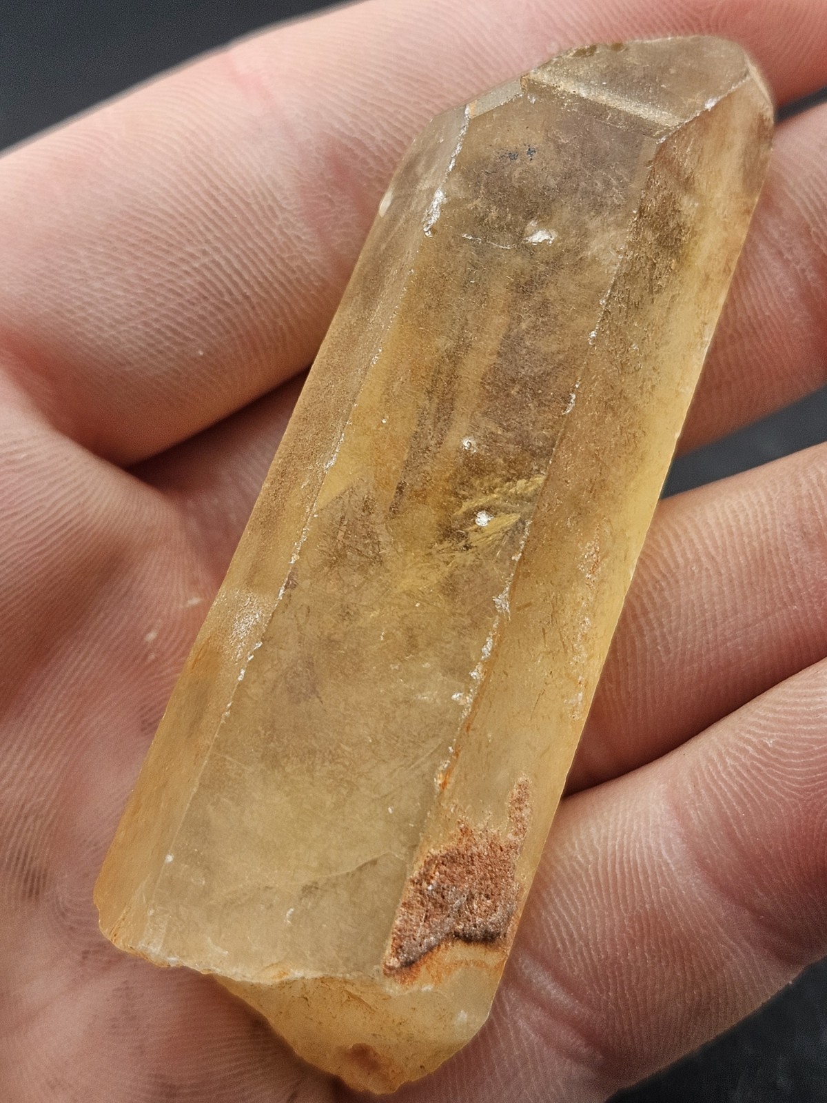 Genuine Natural Citrine Crystal Point | Raw Unheated Congo Honey Quartz Specimen