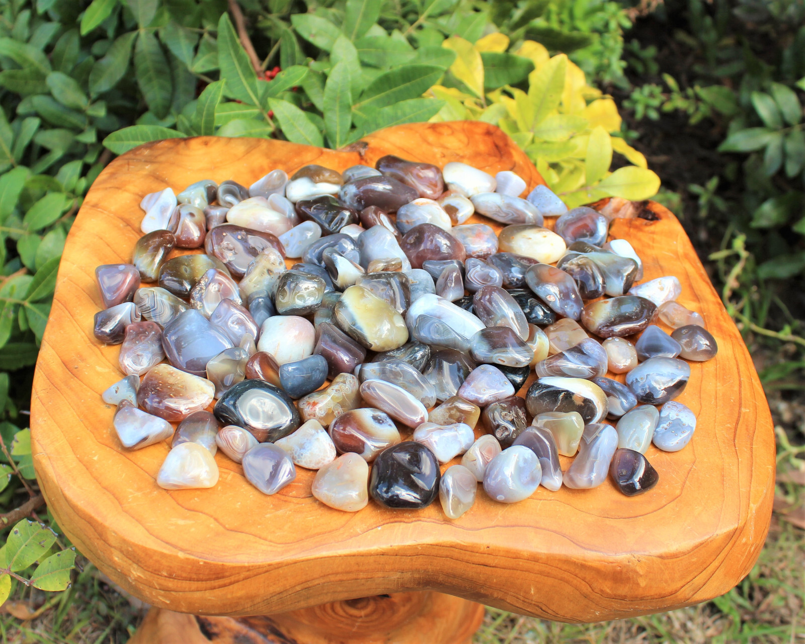 Botswana Gray Tumbled Stone: Choose How Many Pieces (Premium Quality ‘A’ Grade)