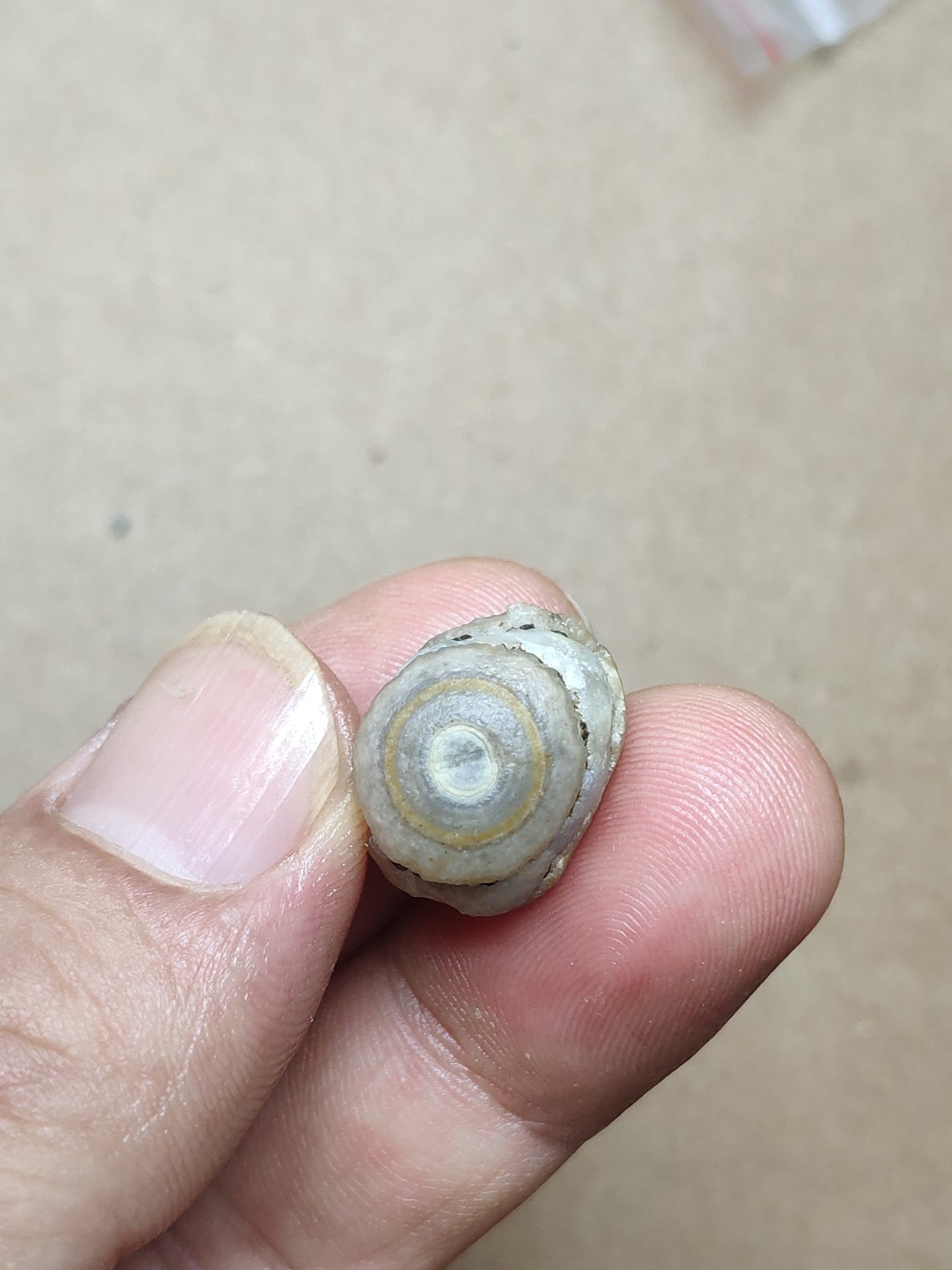 17mm Beautiful Natural agate Gobi agate eye agate cute collection