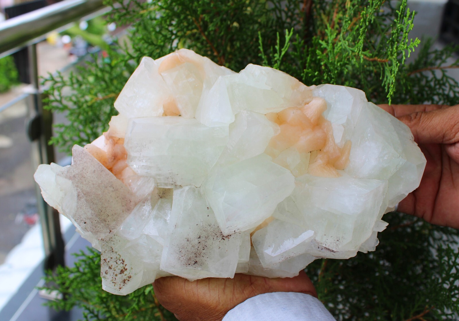 Green Apophyllite Crystals With Stilbite On Matrix Minerals Specimen