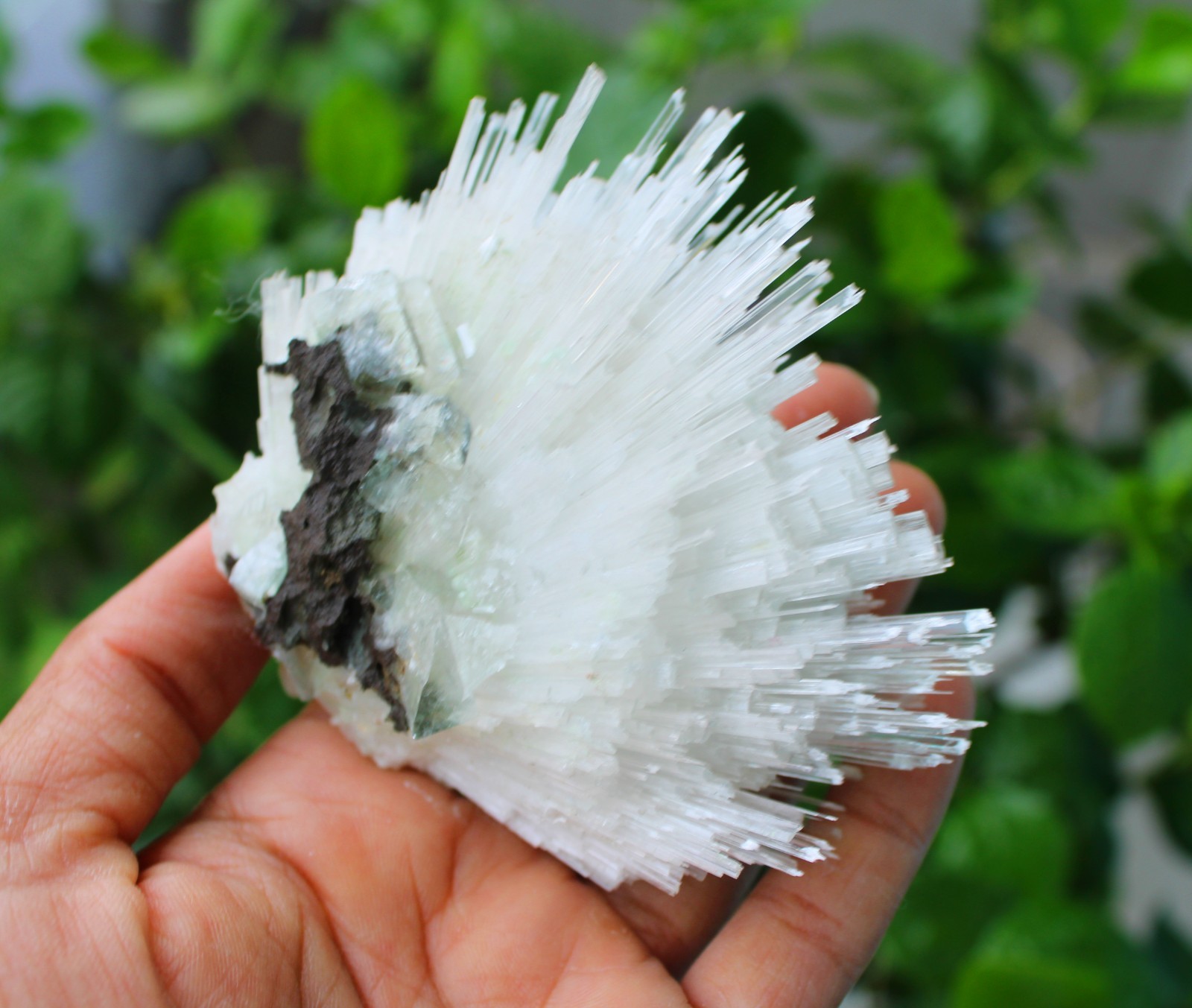 SCOLECITE FORMATION MINERALS SPECIMEN