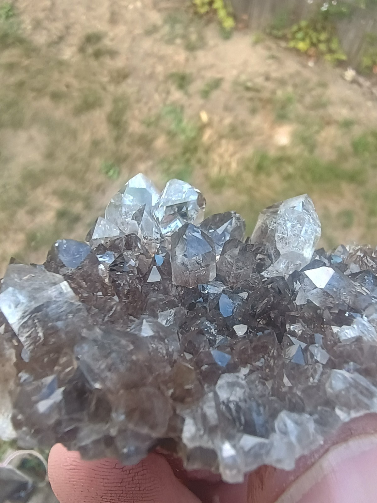 Herkimer 💎Perchers On 🖤 Smokey Druze Plate (Rare Piece) Miner Direct ⚒️