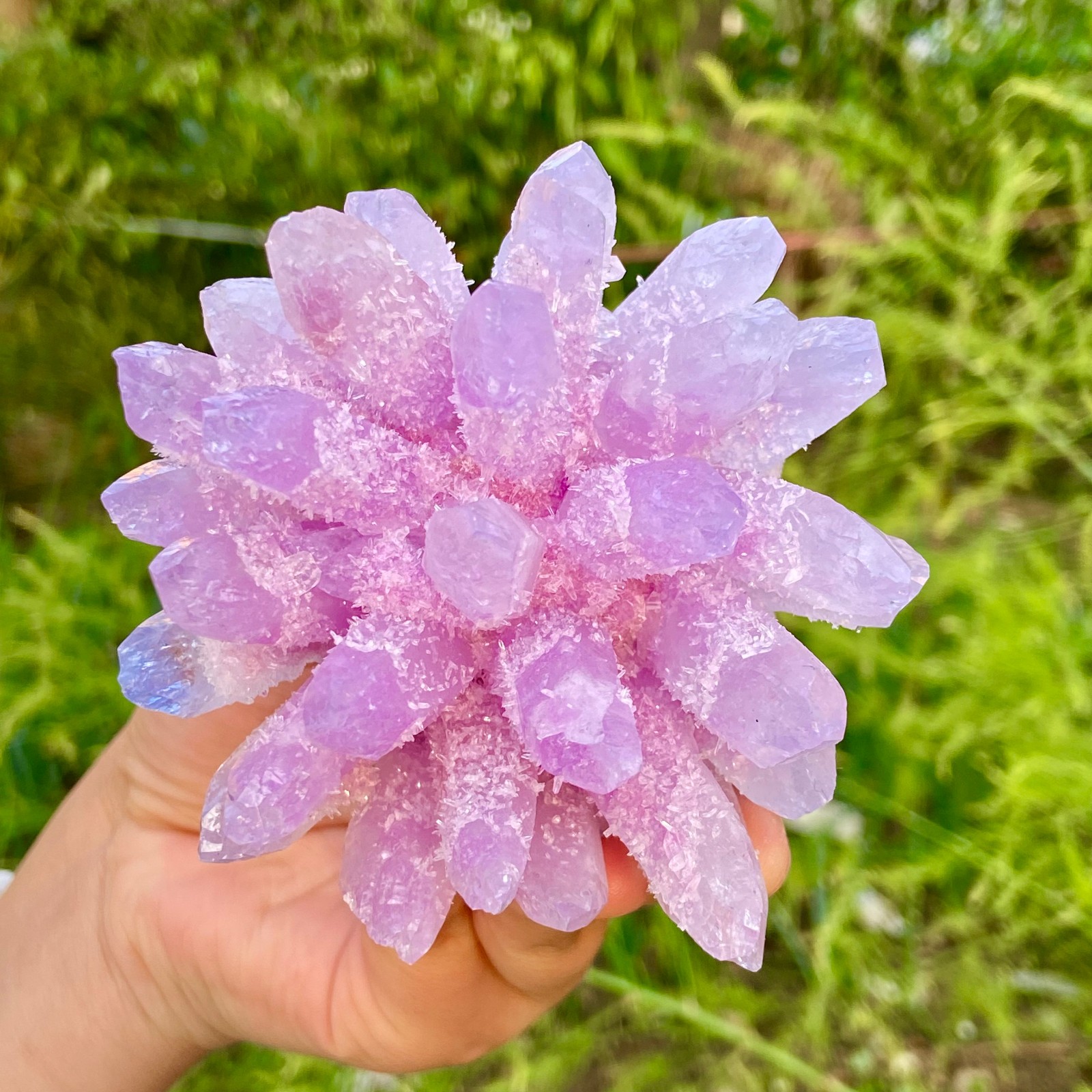 416G New Find PURPLE Phantom Cluster MineralSpecimen