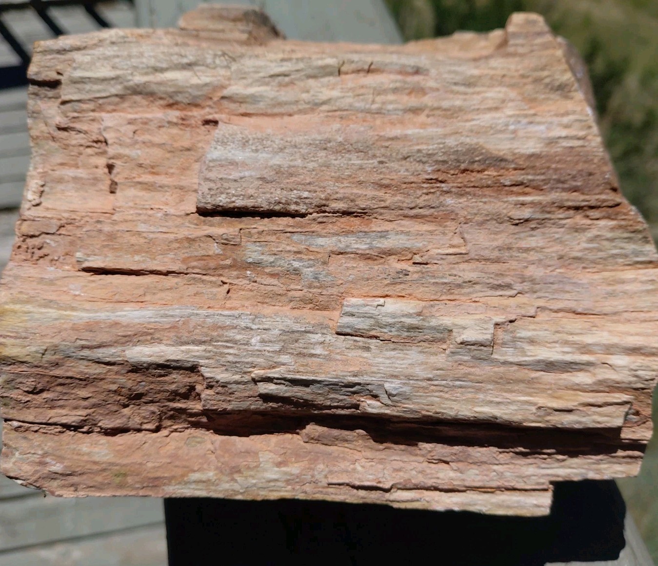 Petrified Wood Trunk/Stump Quartz Replaced Bark 5 1/4Lb Grain Henry Mountains UT
