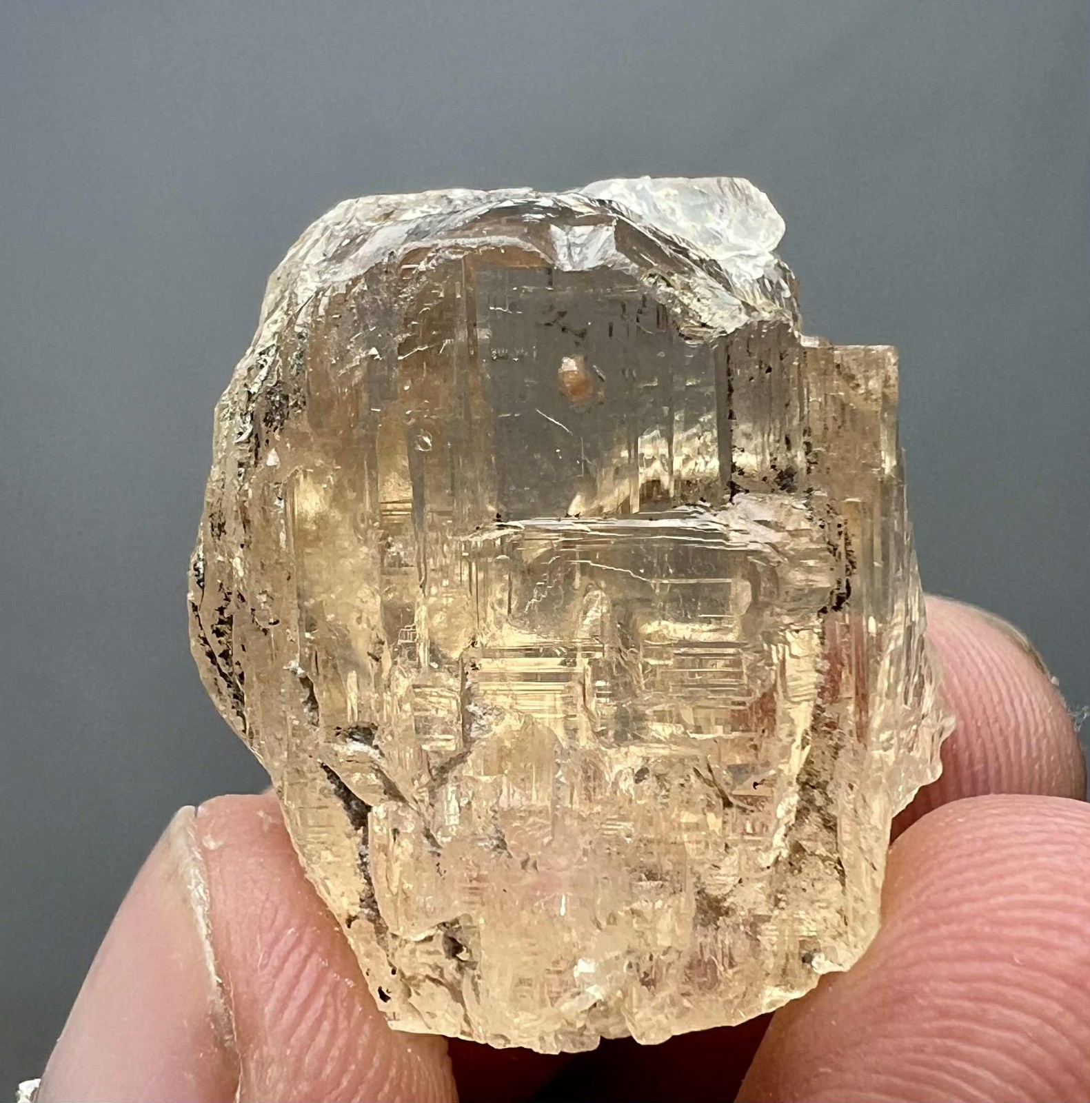118 Carat Natural !!! Eye Clean Top Honey Color Topaz Huge Crystal @PAK