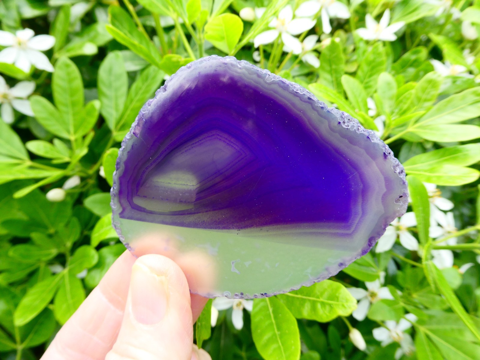 Large Polished Purple Agate Crystal Slice 78mm (7.8cm) x 63mm (6.3cm) Brazil