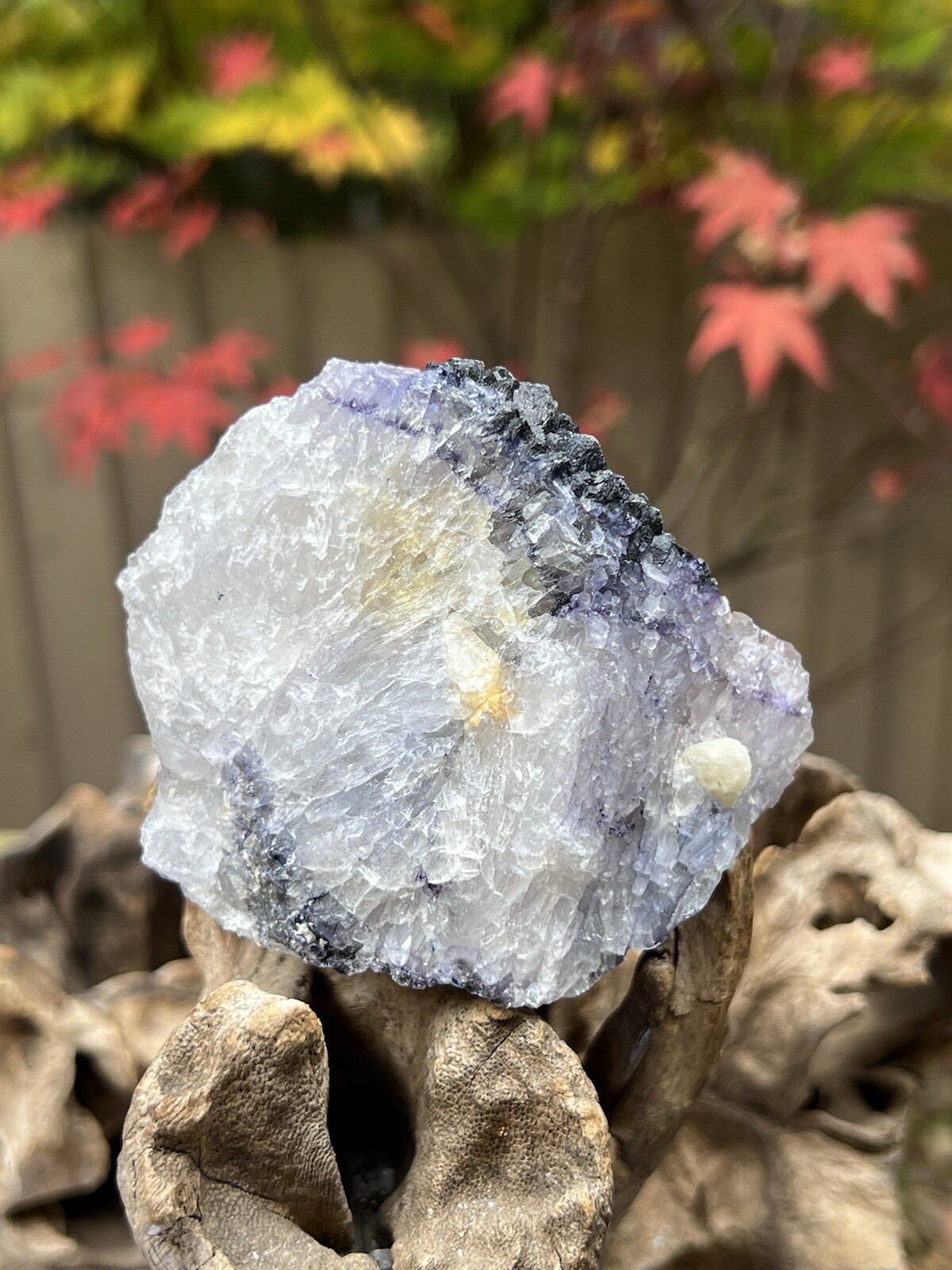 Blue John Fluorite Mineral Specimen United Kingdom 307g 10