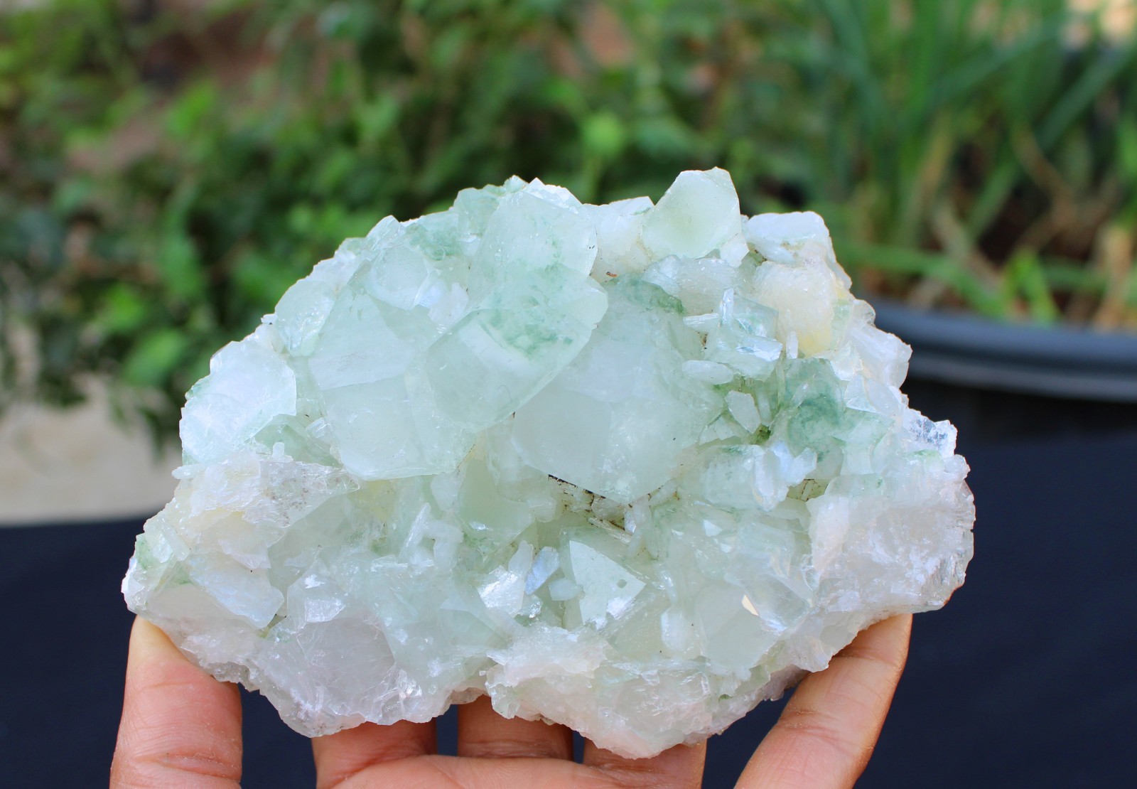 Green Apophyllite Crystals w/ Stilbite Formation Minerals Specimen
