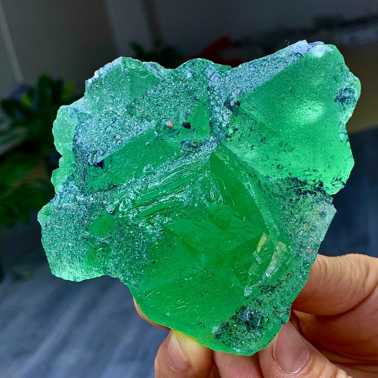 1.24LB Rare transparent green cubic Zhejiang fluorite mineral sample