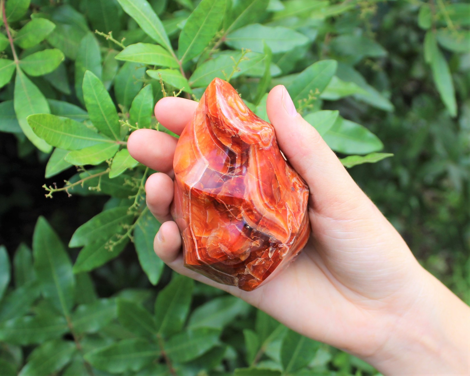 Carnelian Crystal Flame: Cut Base Free Standing, Display Specimen – Choose Size