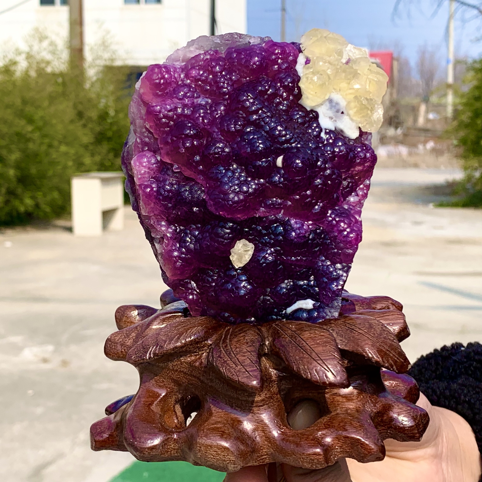 2.40LB Complete rare and gorgeous purple fluorite from Inner Mongolia, China