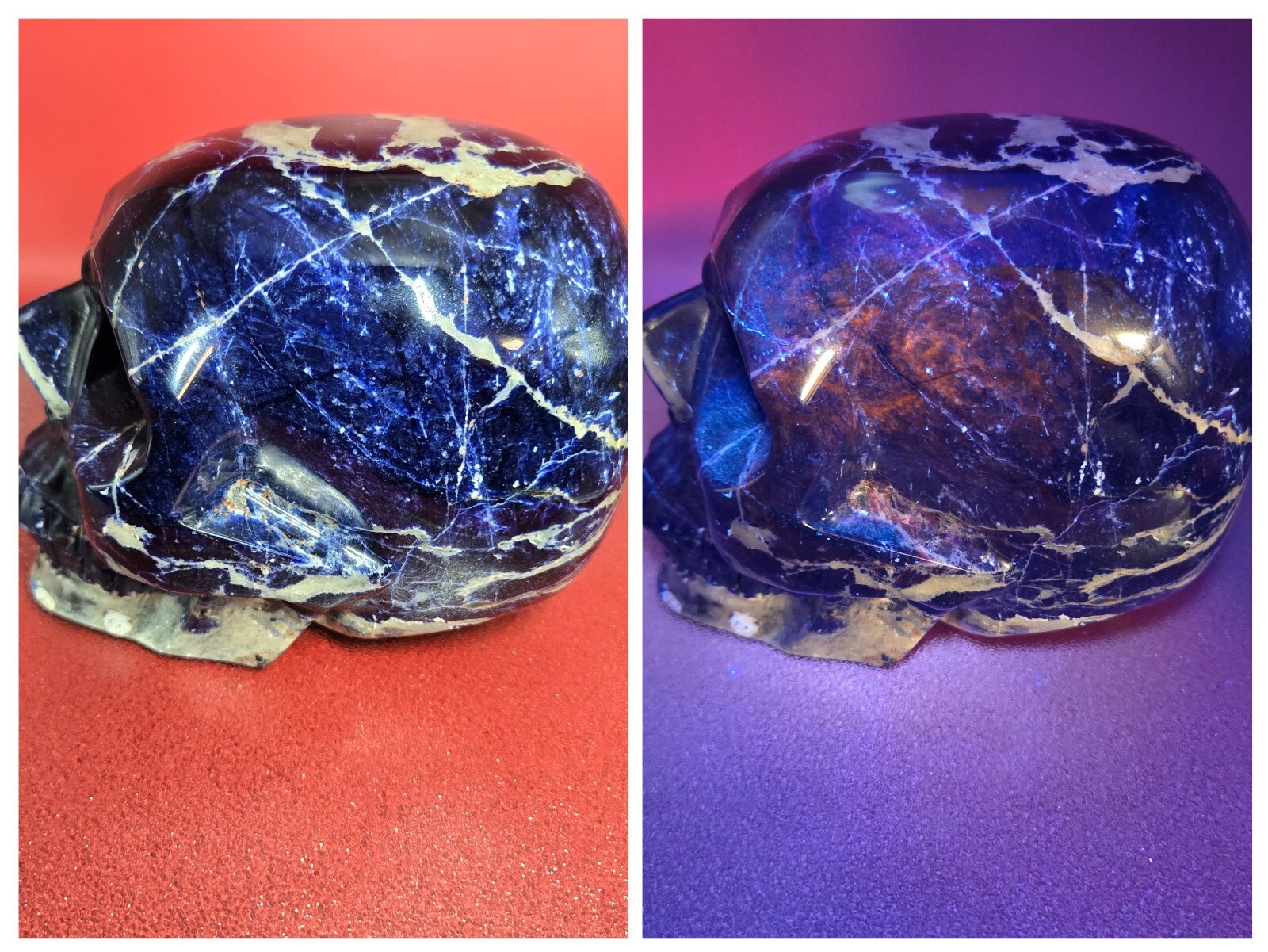 10+LB Natural Very Blue Sodalite Skull Hand Carved Quartz Crystal Reiki Healing