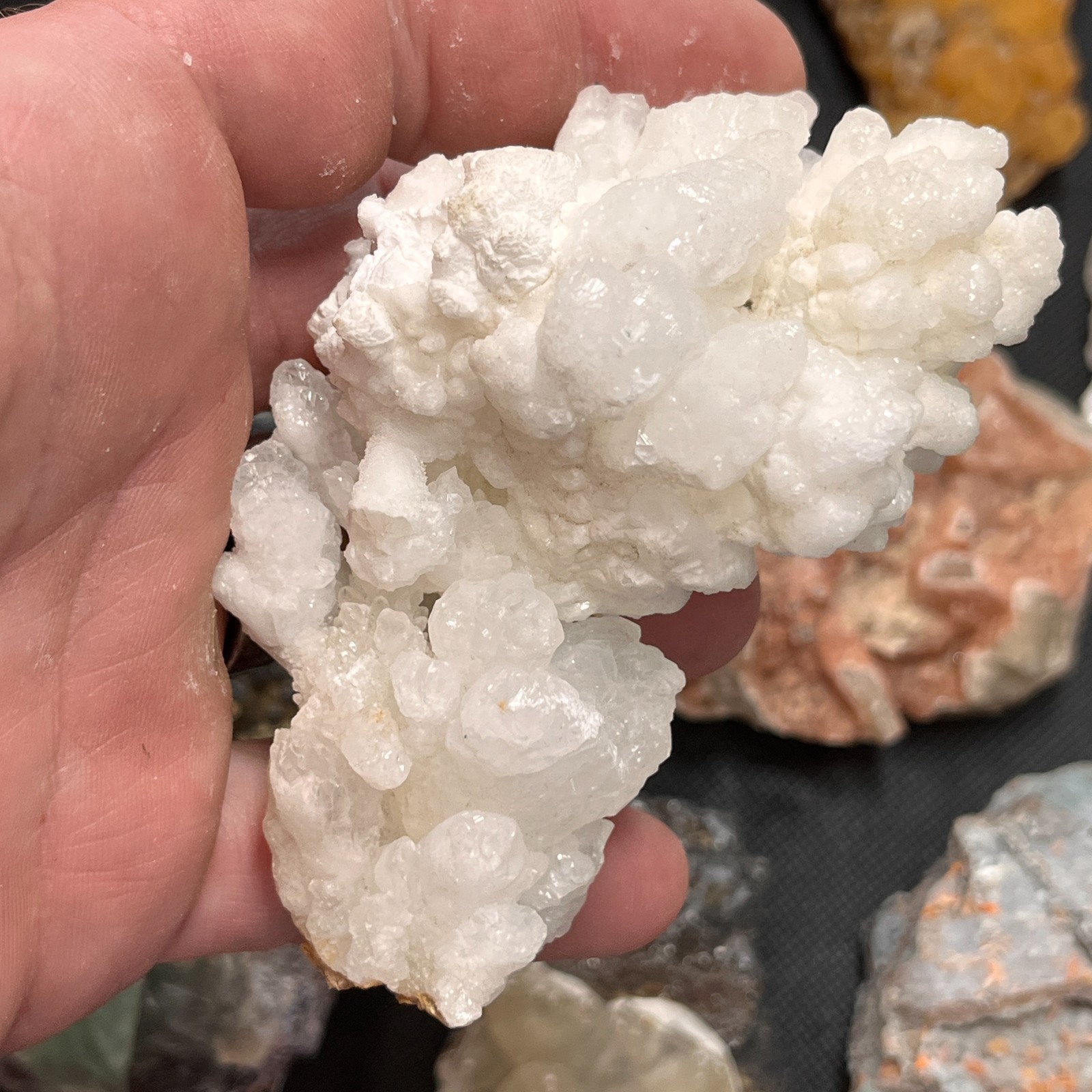 Crystals, Minerals, Natural Stone Specimens – MIXED ESTATE COLLECTION LOT #1198