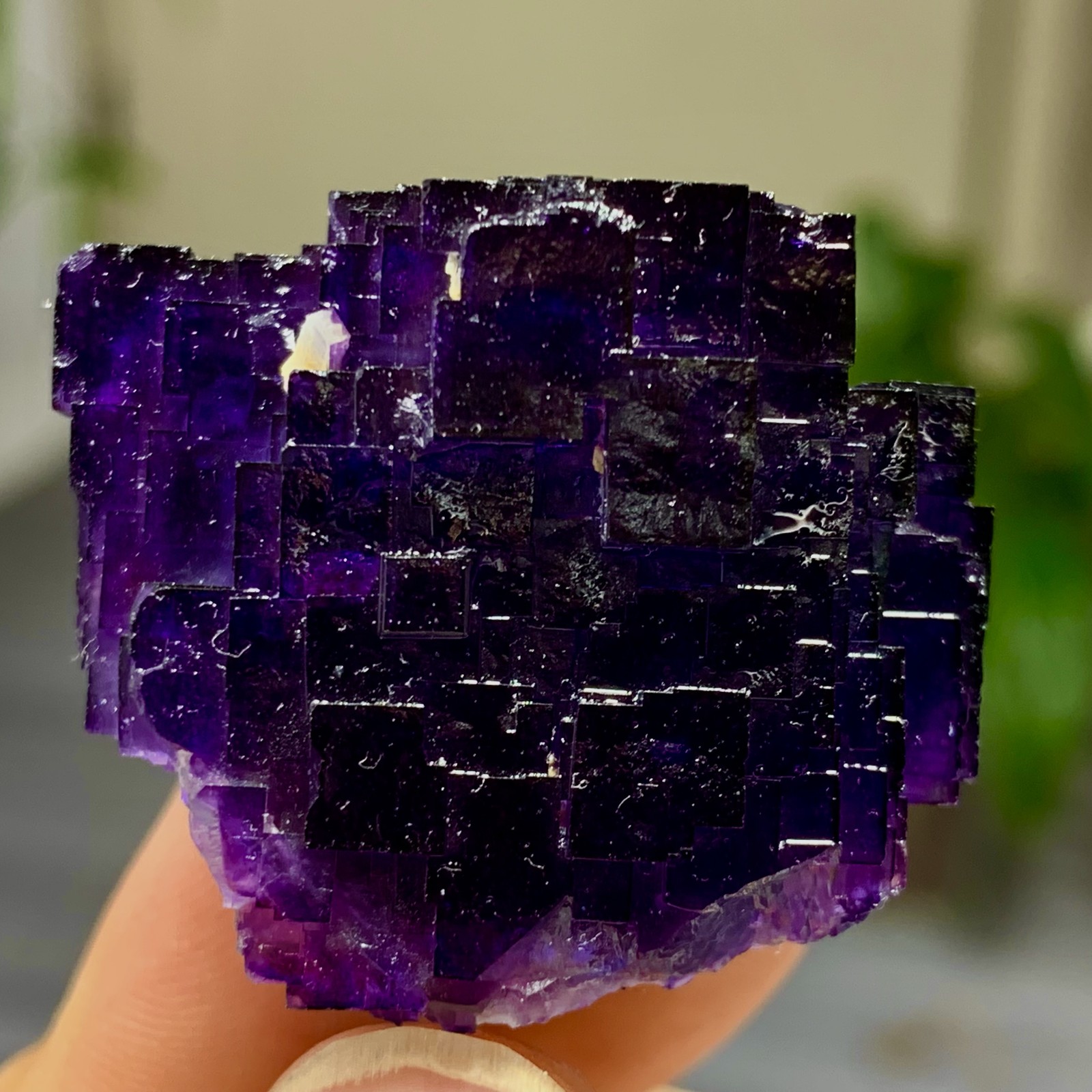 40G Natural purple framed cubic fluorite mineral specimen/Inner Mongolia