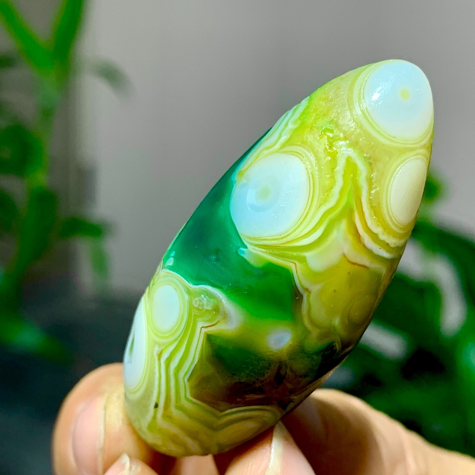 28G Natural green gobi agate eye crystal Circular pattern mineral healing B205