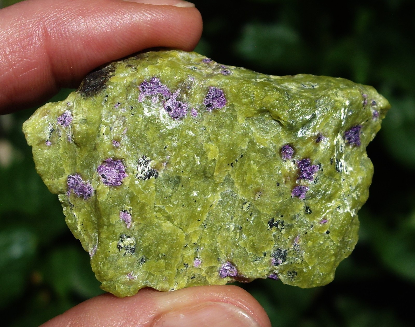 Unusual Atlantisite from Tasmania 20.4g