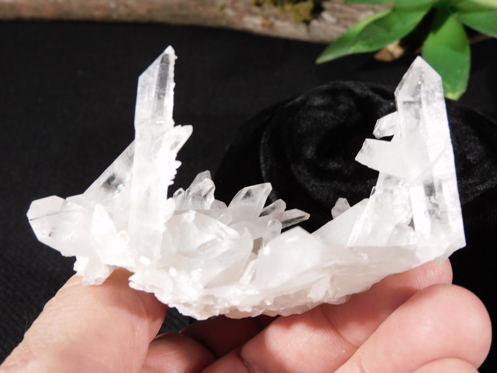 Twelve Points! TRANSLUCENT Quartz Crystal Cluster Collier Creek ARKANSAS 99.0gr