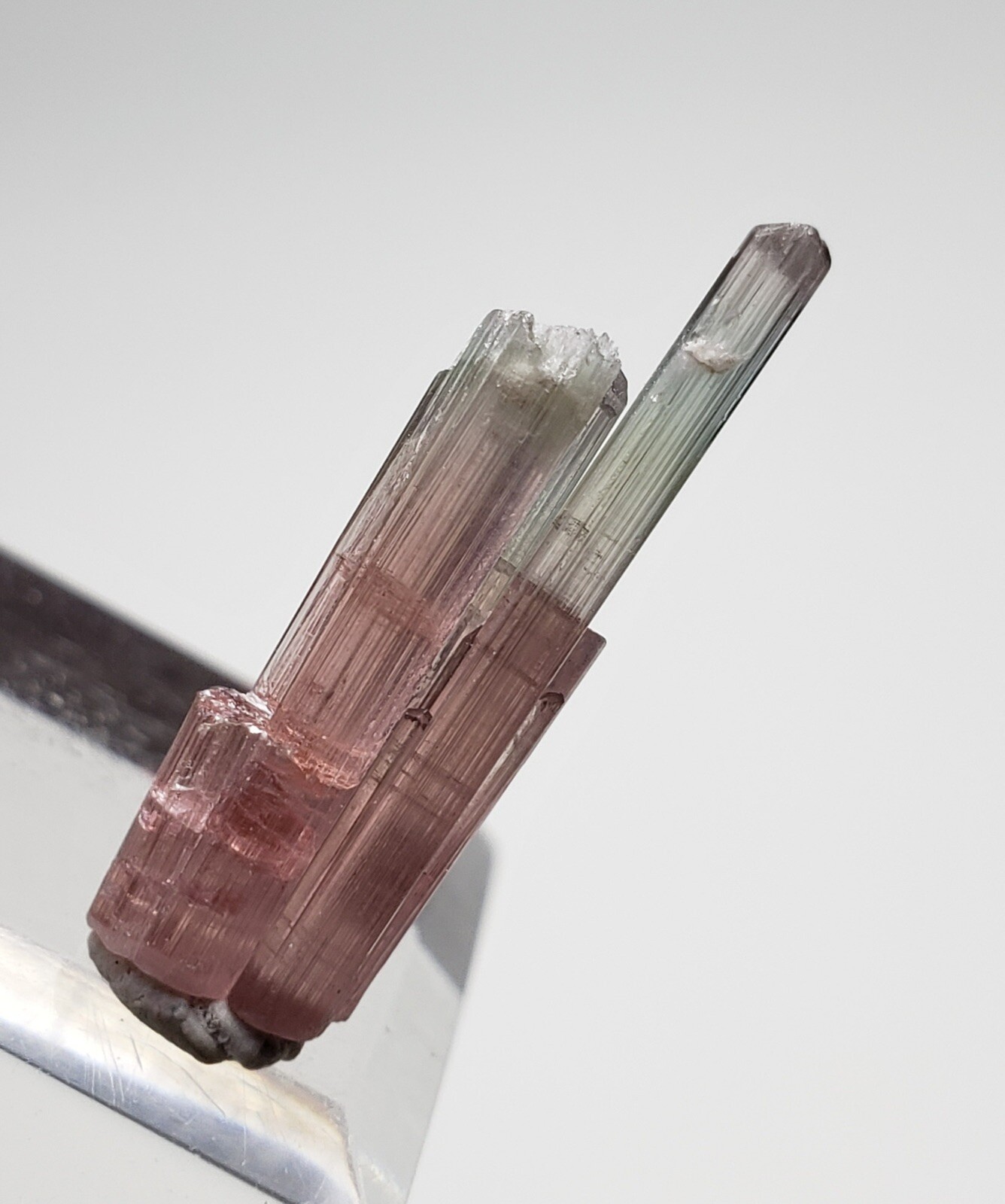 Top Quailty Bi Colour Tourmaline Spray Crystal From Afghanistan