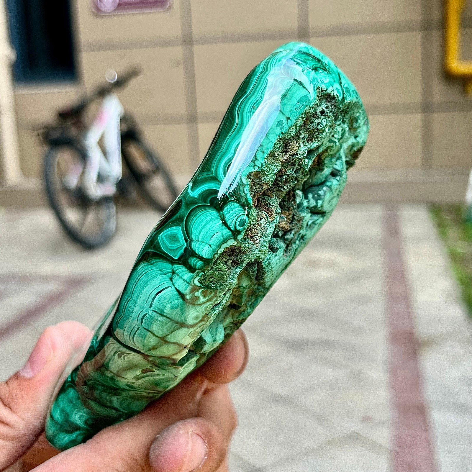 2.2 lb Malachite Quartz Freeform One Side Polished Natural Crystal Specimen