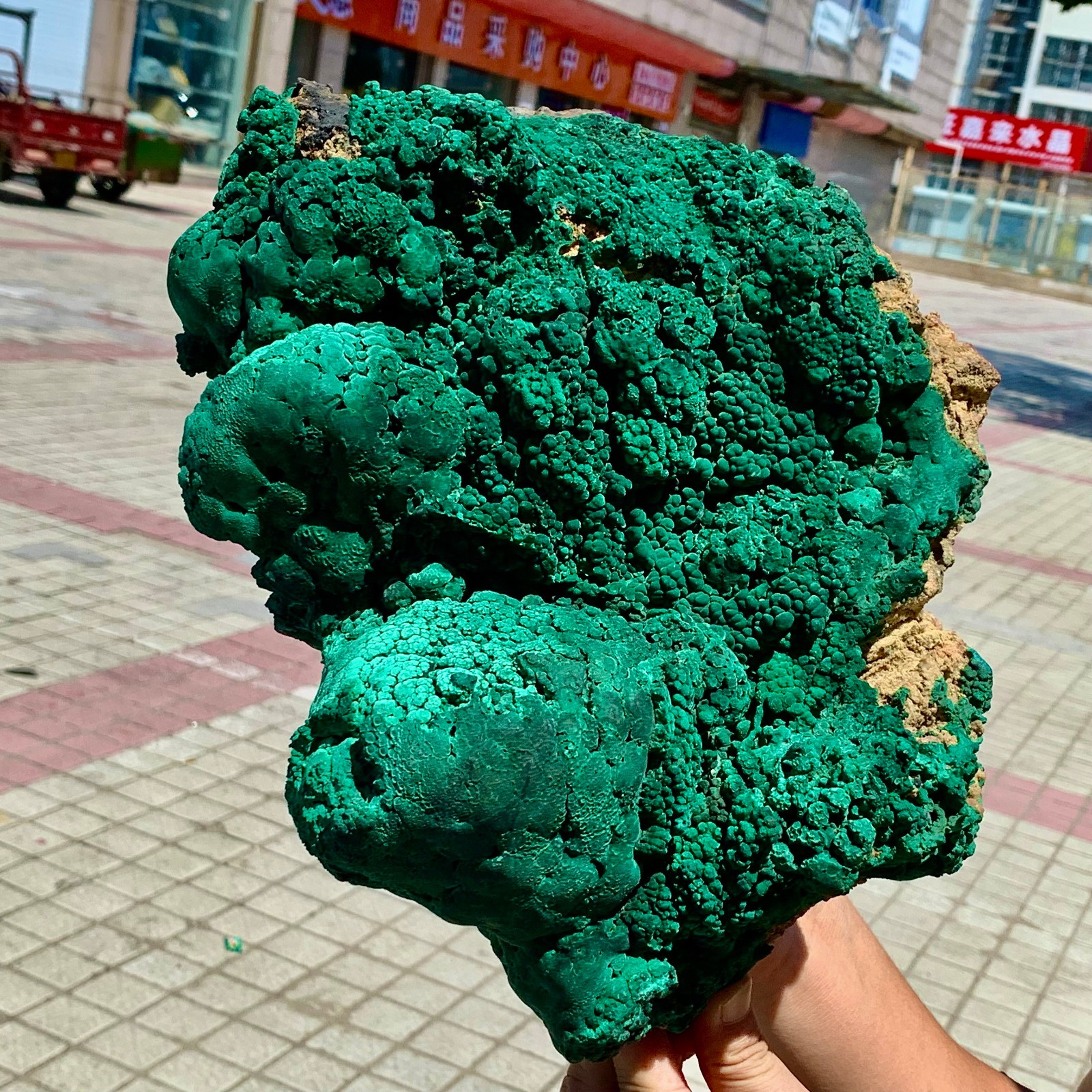 17.82LB Natural VELVET Malachite cat’s eye specimen crystal mineral-Congo