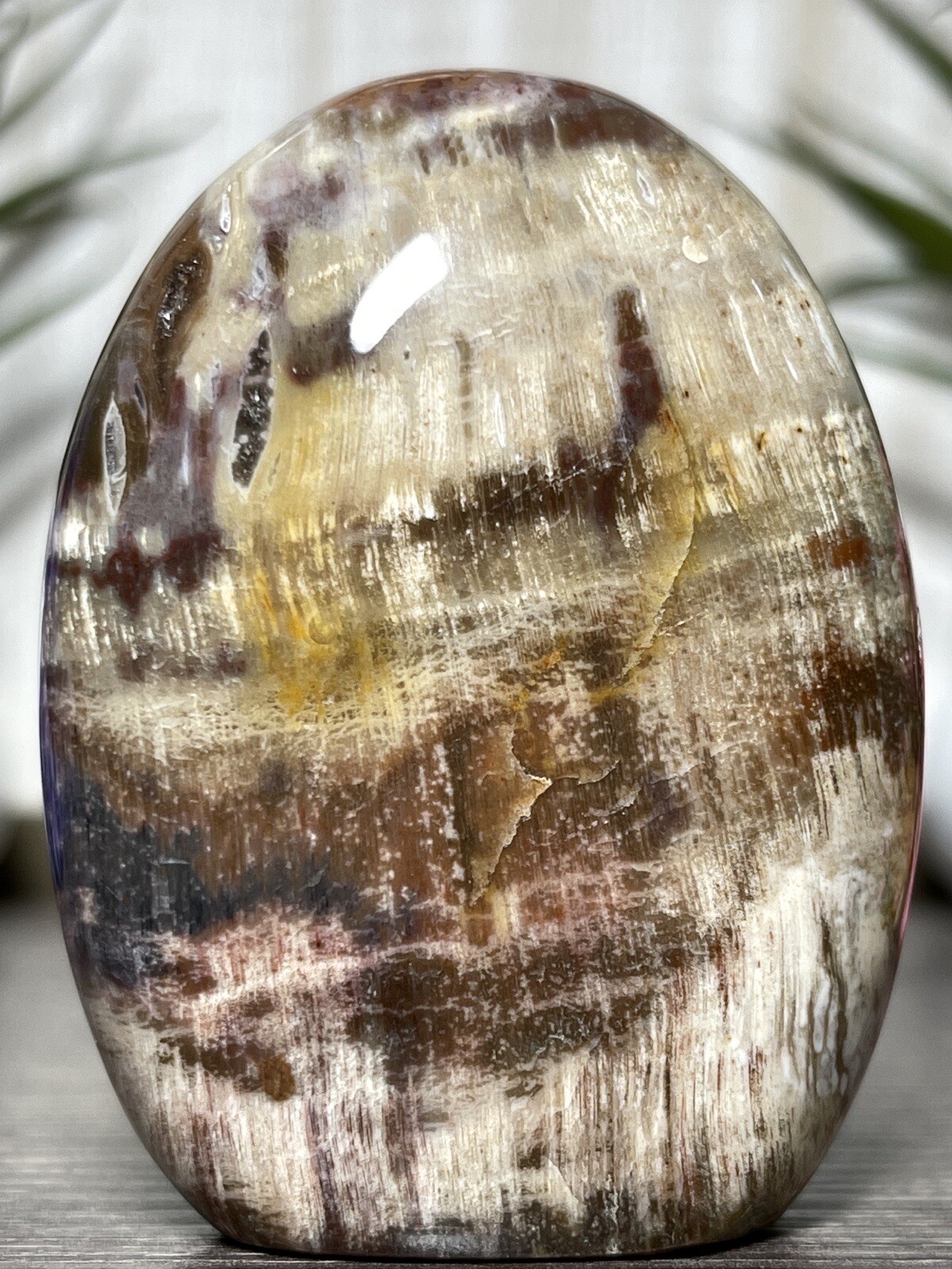 PETRIFIED WOOD FREEFORM – Mineral Red Brown Chakra Fossil Crystal Energy Tower
