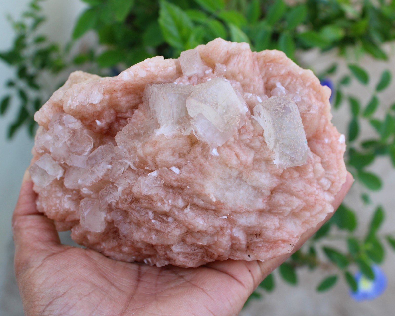 APOPHYLLITE CRYSTALS ON STILBITE NATURAL MINERALS SPECIMEN #A38