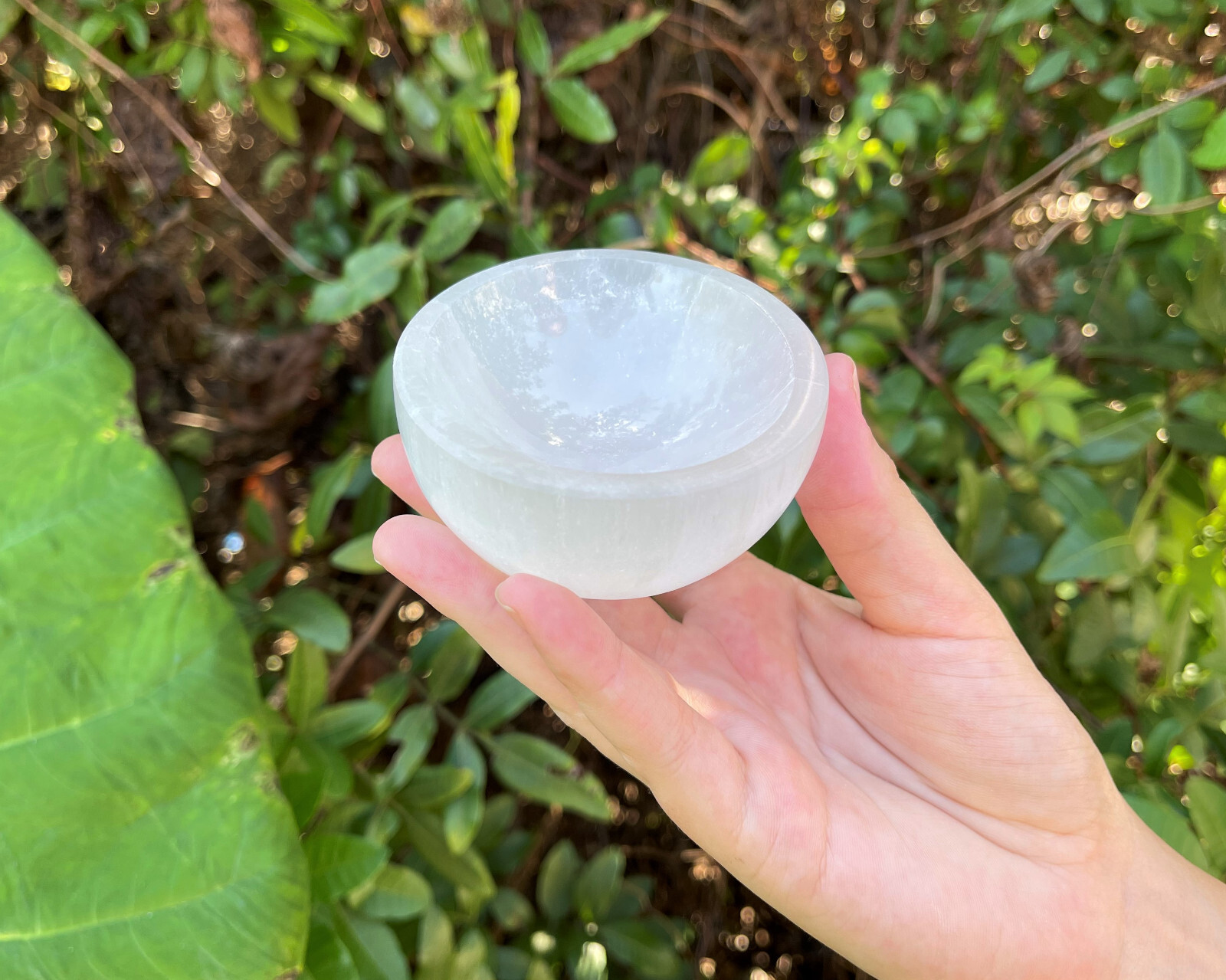 Wholesale Bulk Lot: 7 Selenite Charging Bowls Medium (Cleanse & Charge Crystals)