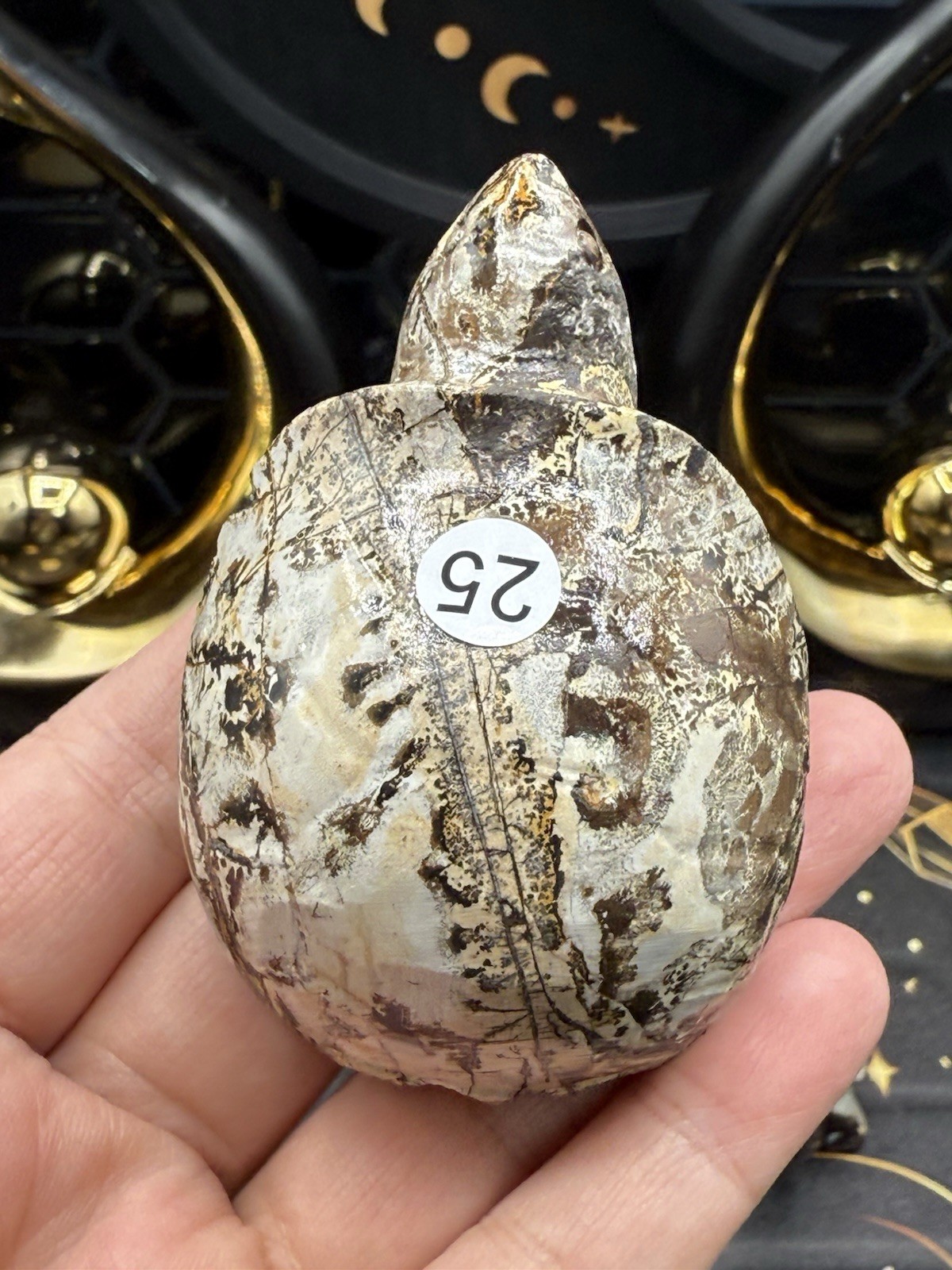Natural Picture Jasper Land Turtle Tortoise Super Cute Carvings Free ship