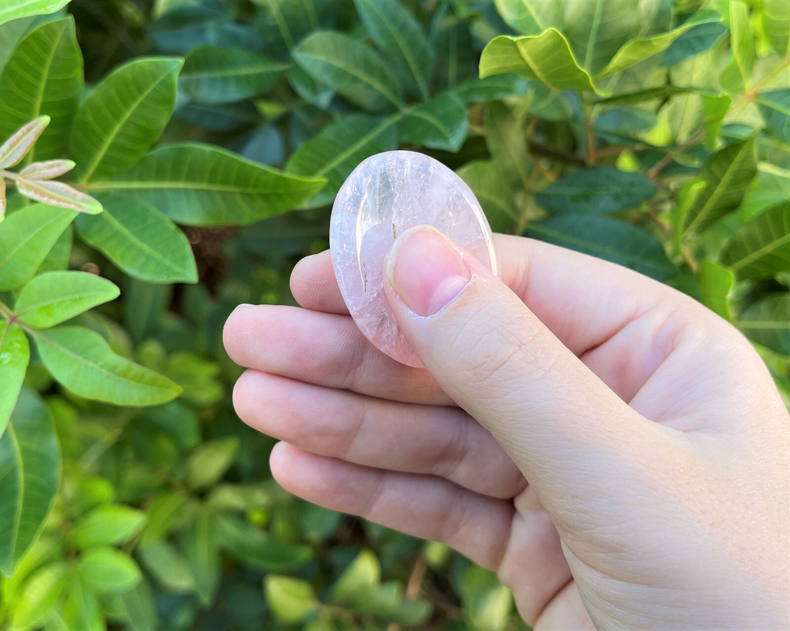 Rose Quartz Worry Stone (Polished Rose Quartz Gemstone, Rose Quartz Palm Stone)