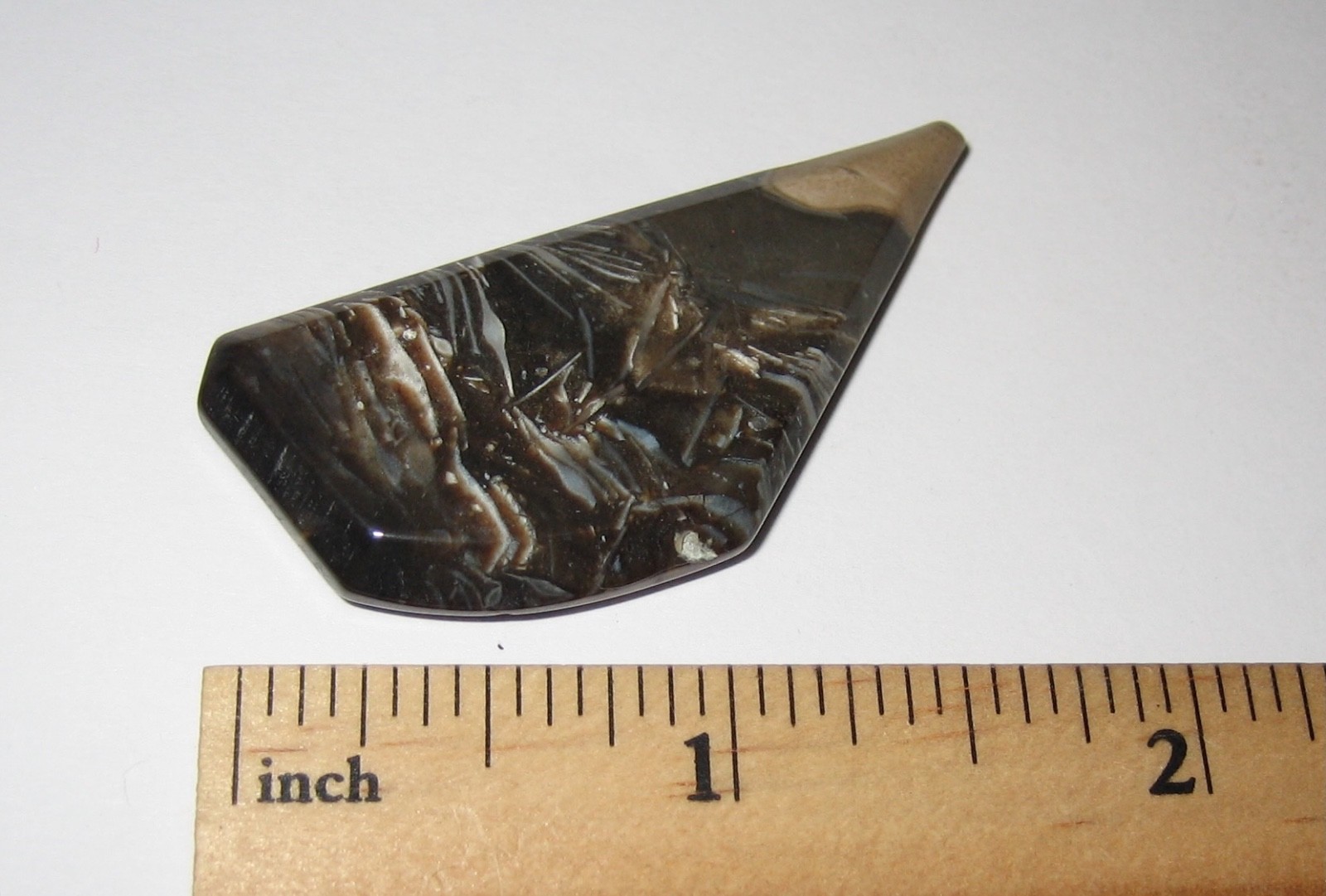 1.9″ TUMBLED POLISHED CABOCHON STYLE FOSSIL FORAMINIFERA STONE INDONESIA 9.8g *1