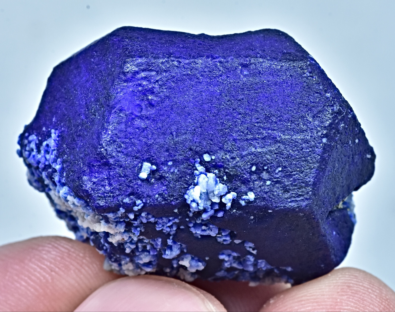 118 Carat Top Quality Terminated Top Blue Lazurite Crystal W/ Forsterite &Pyrite