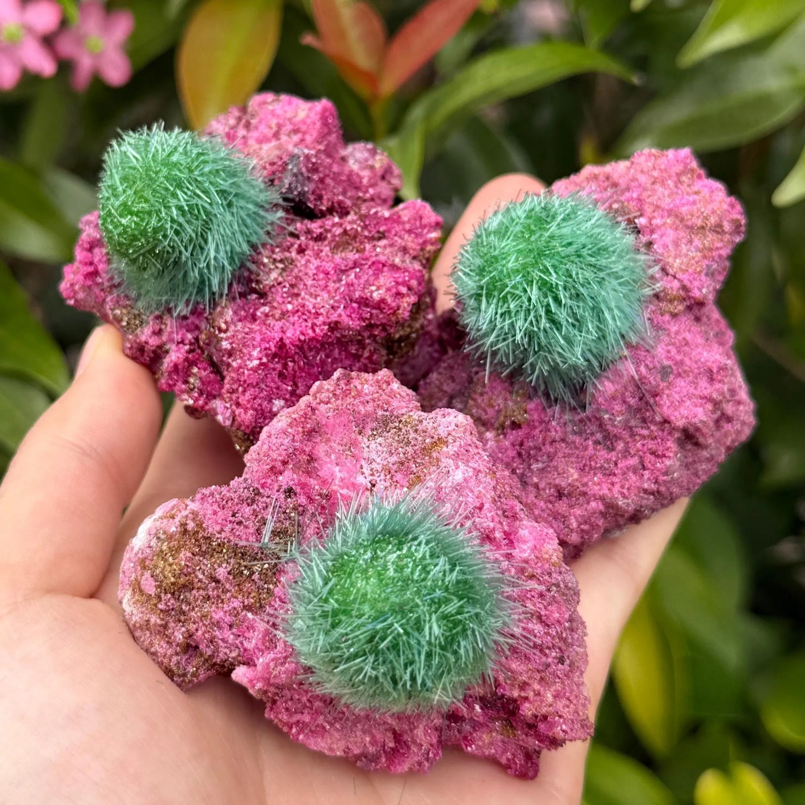 Wholesale Special Ruby Quartz Crystal Mineral Rock Specimen Ideal for Decor