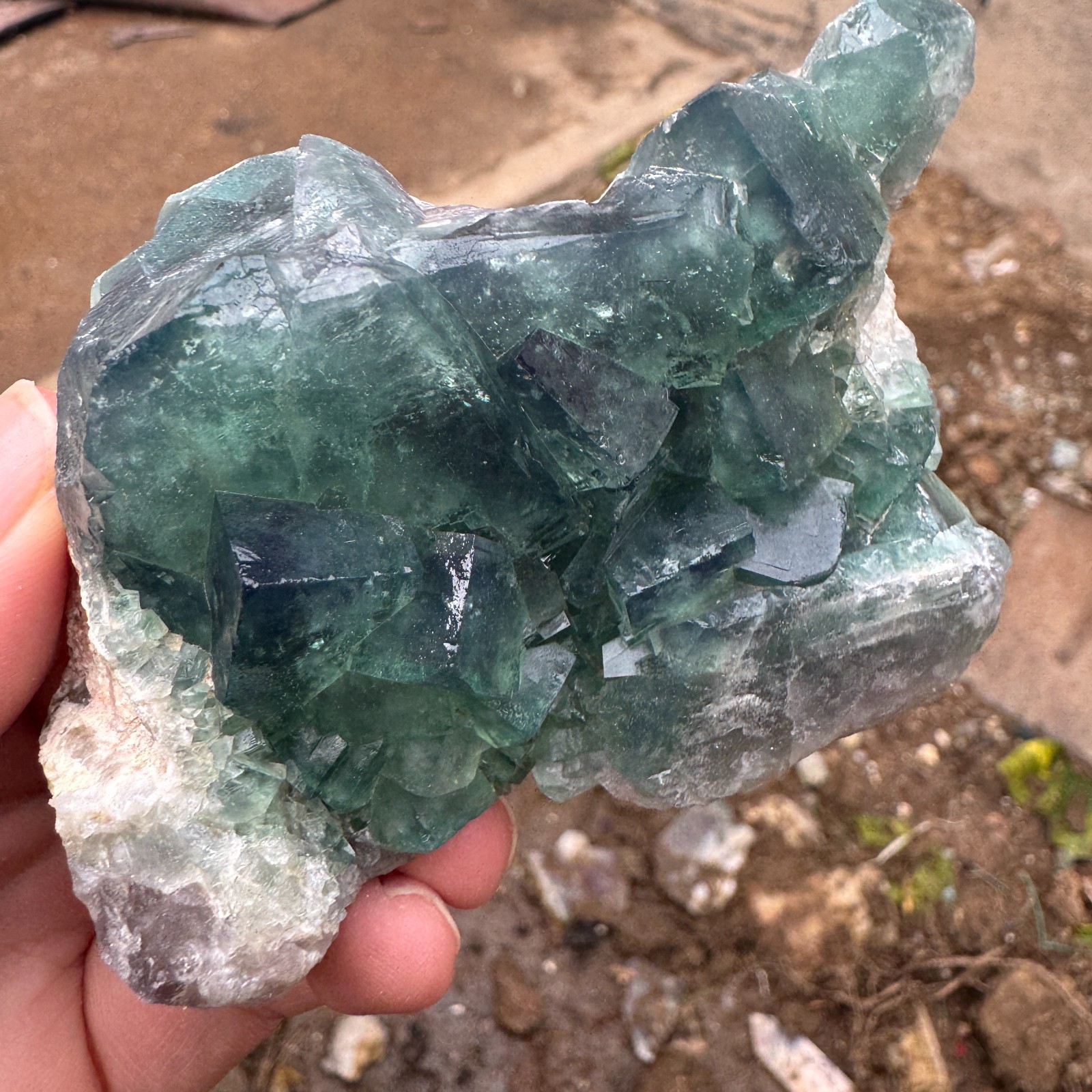 240G Natural cubic green fluorite crystal cluster rough mineral specimen Healing