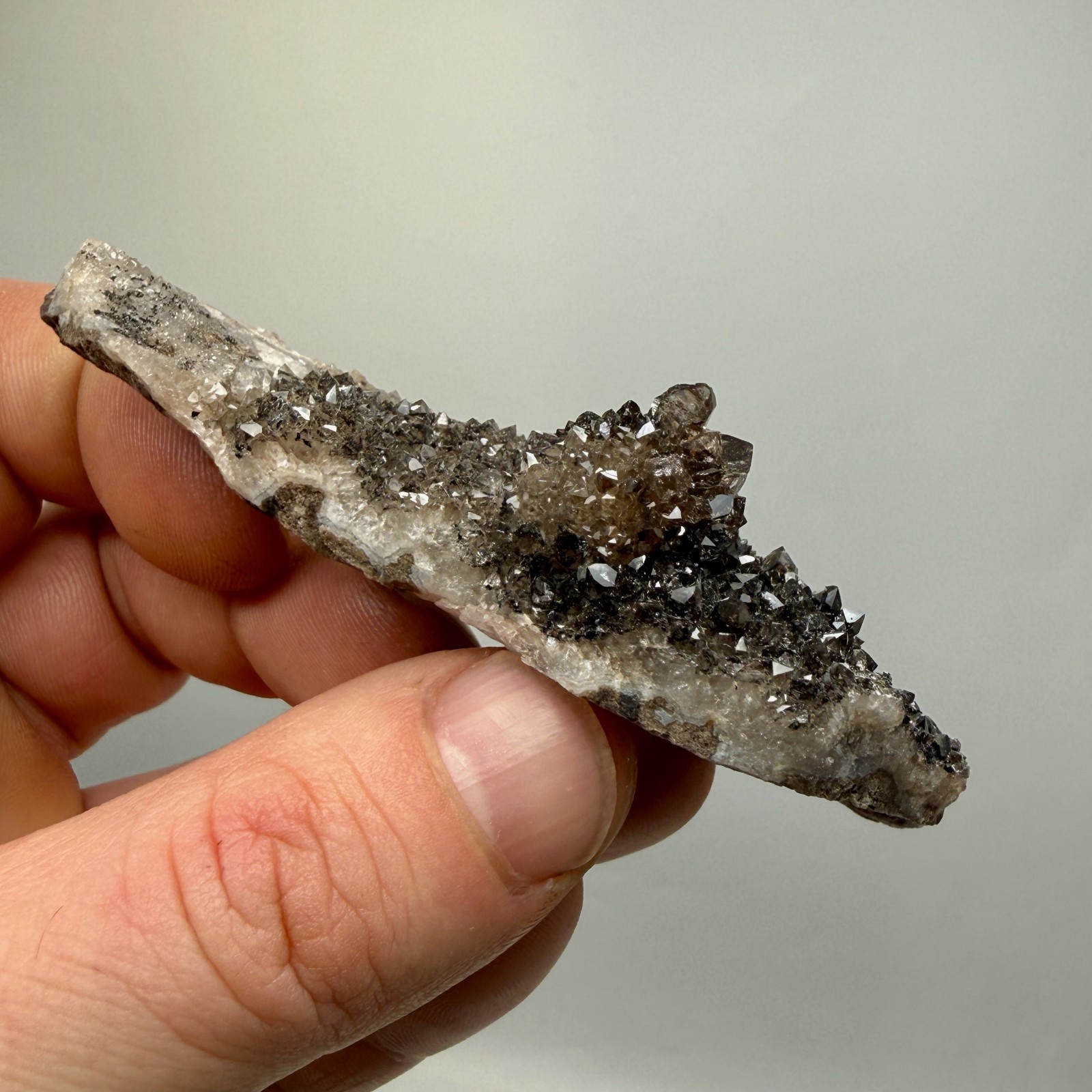 Black Druze with Hydrocarbon Phantom Percher Herkimer Diamonds, Rare Matrix!