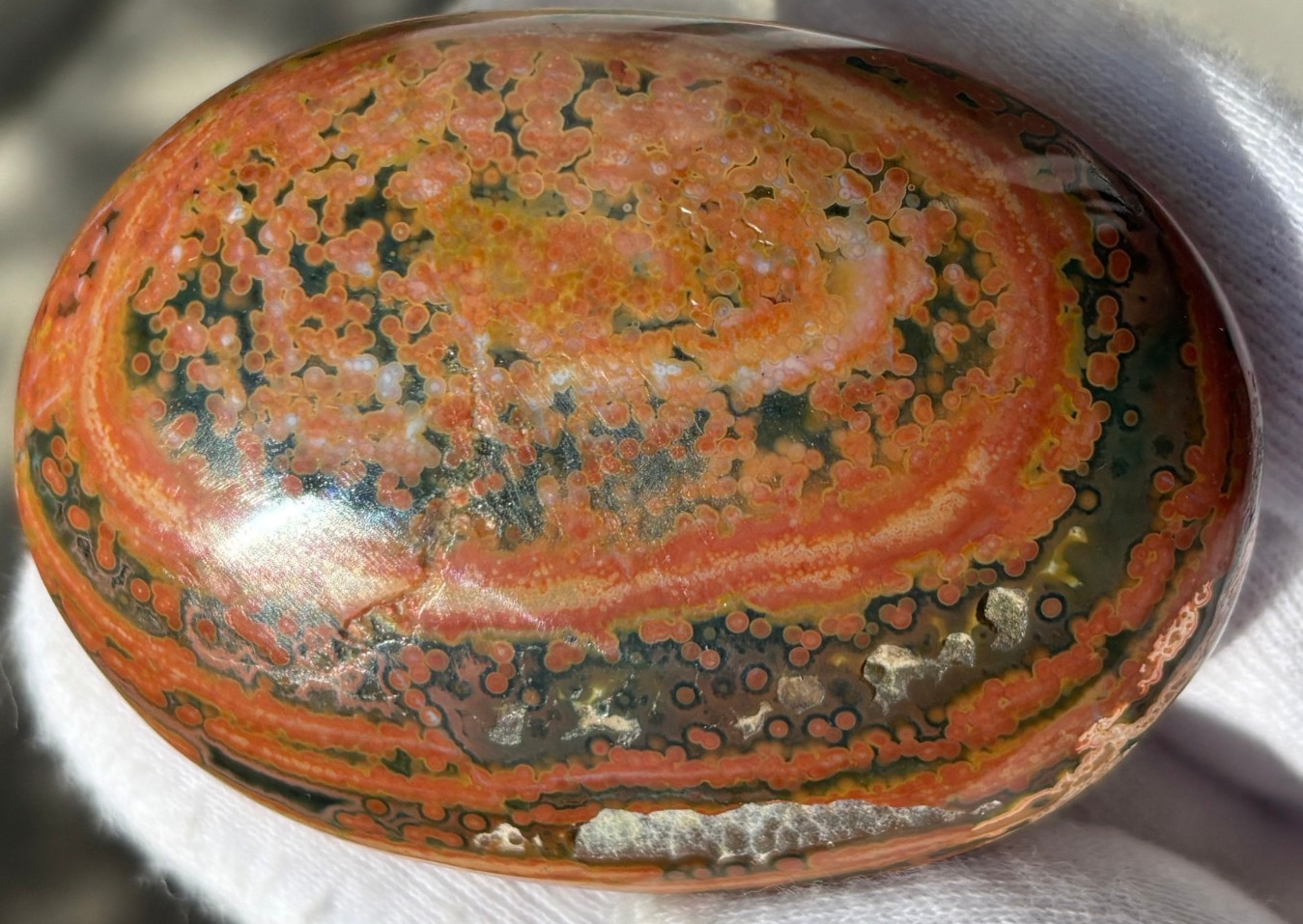 USA SALE 177g LOT OCEAN JASPER OJ PALMSTONES PALM STONE STONES PALMSTONE VIBRANT